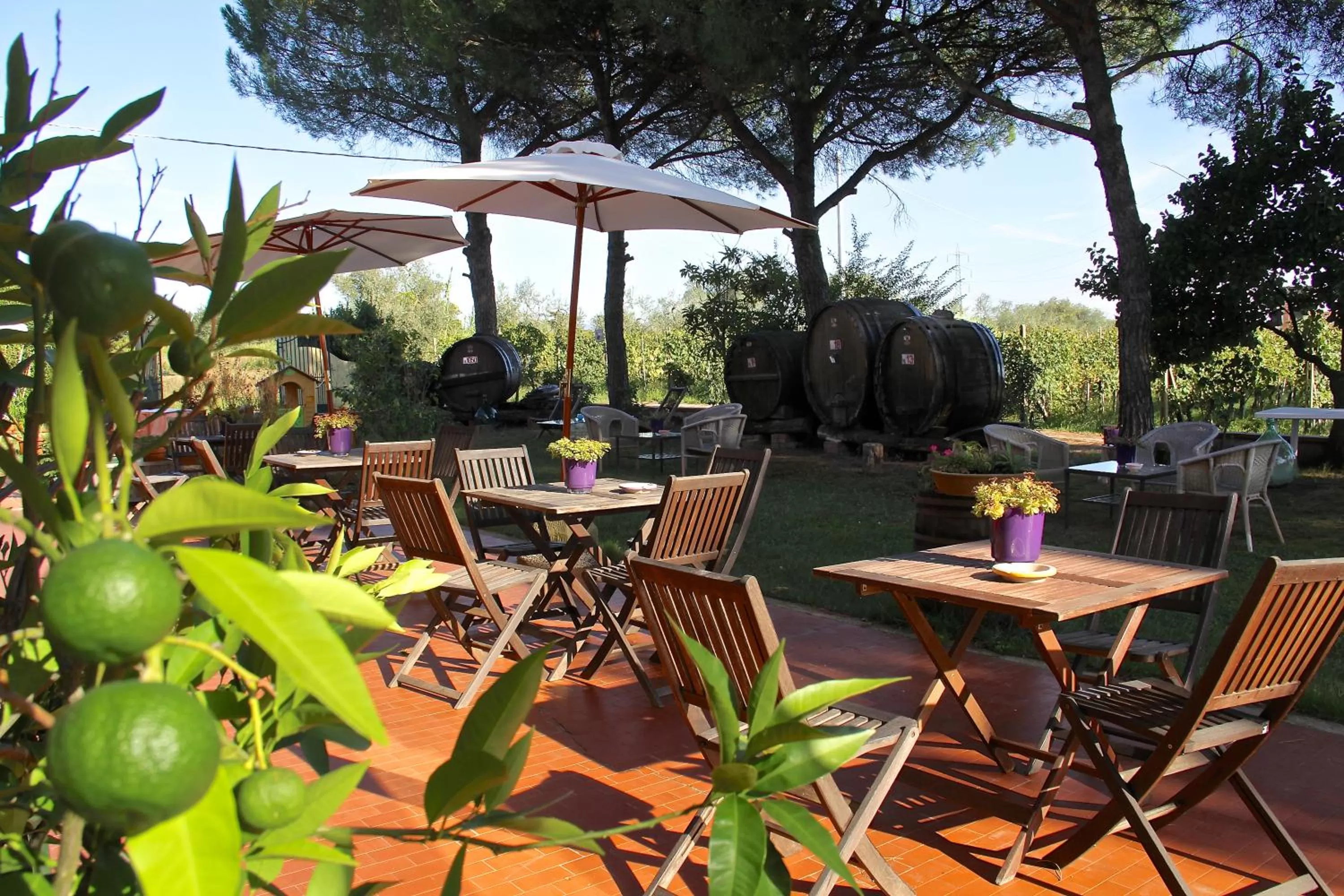 Garden in Locanda il Fornello