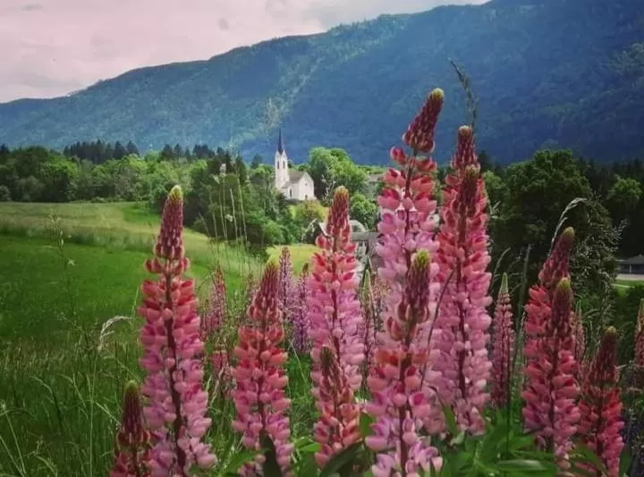 Gasthaus zum Fuchs - Familie Andrä