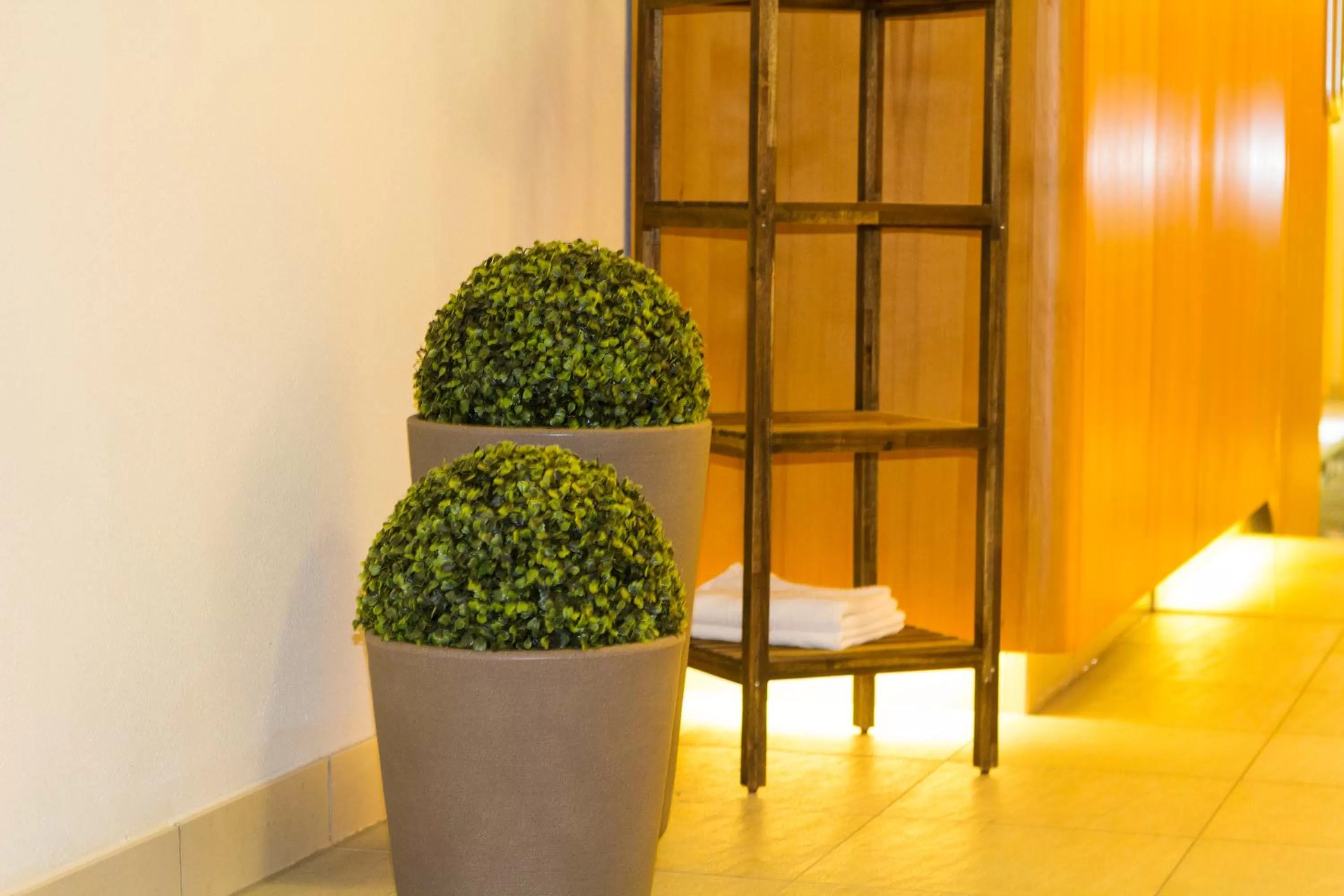 Spa and wellness centre/facilities in Seehüter's Hotel Seerose