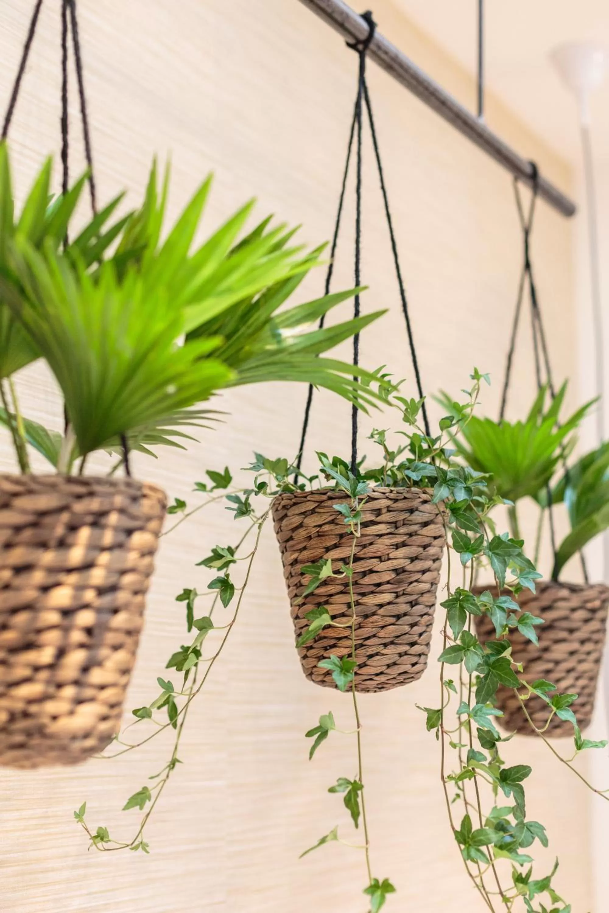 Decorative detail in Hotel Dwars