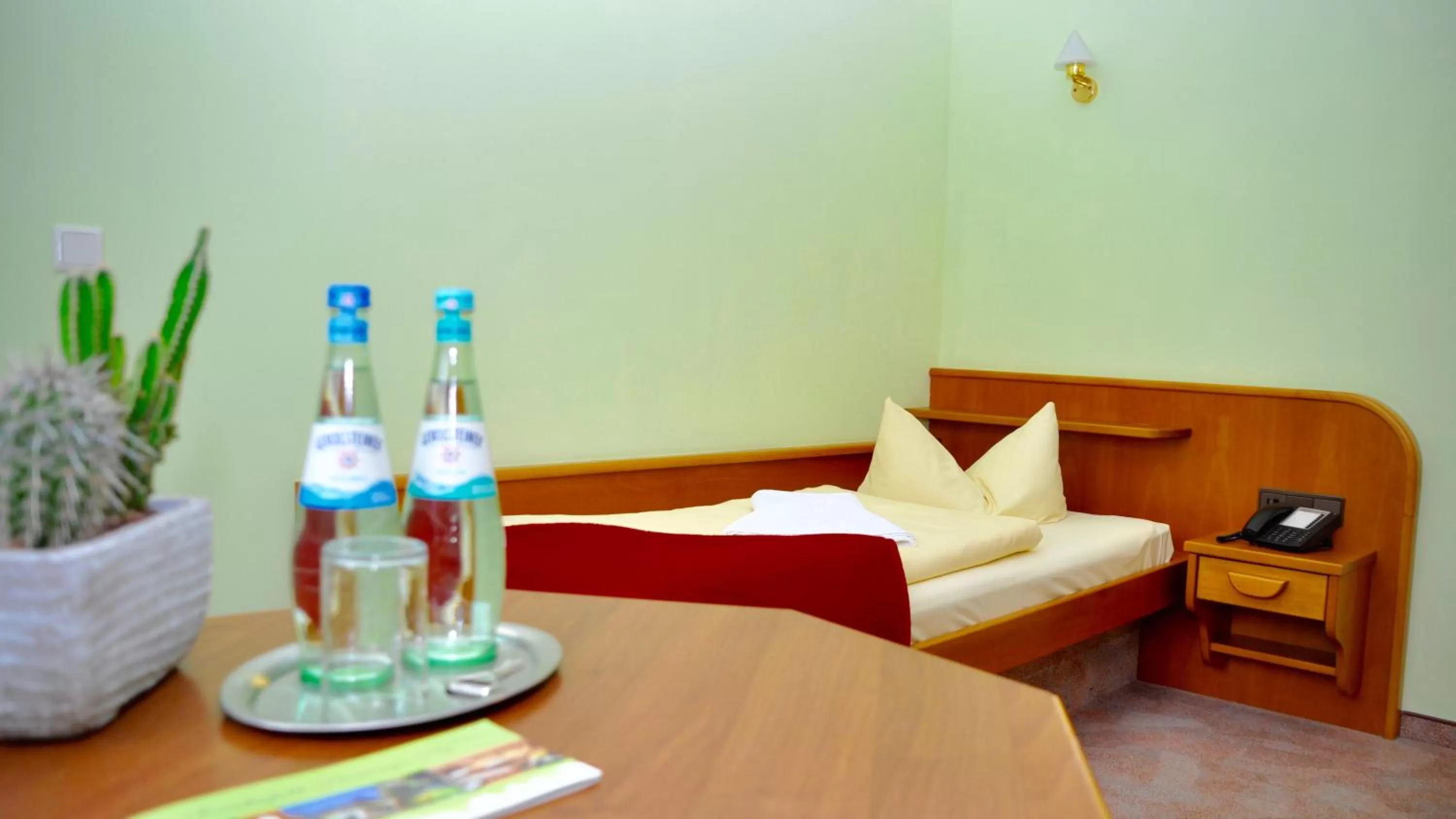 Single Room in Rennsteighotel Herrnberger Hof