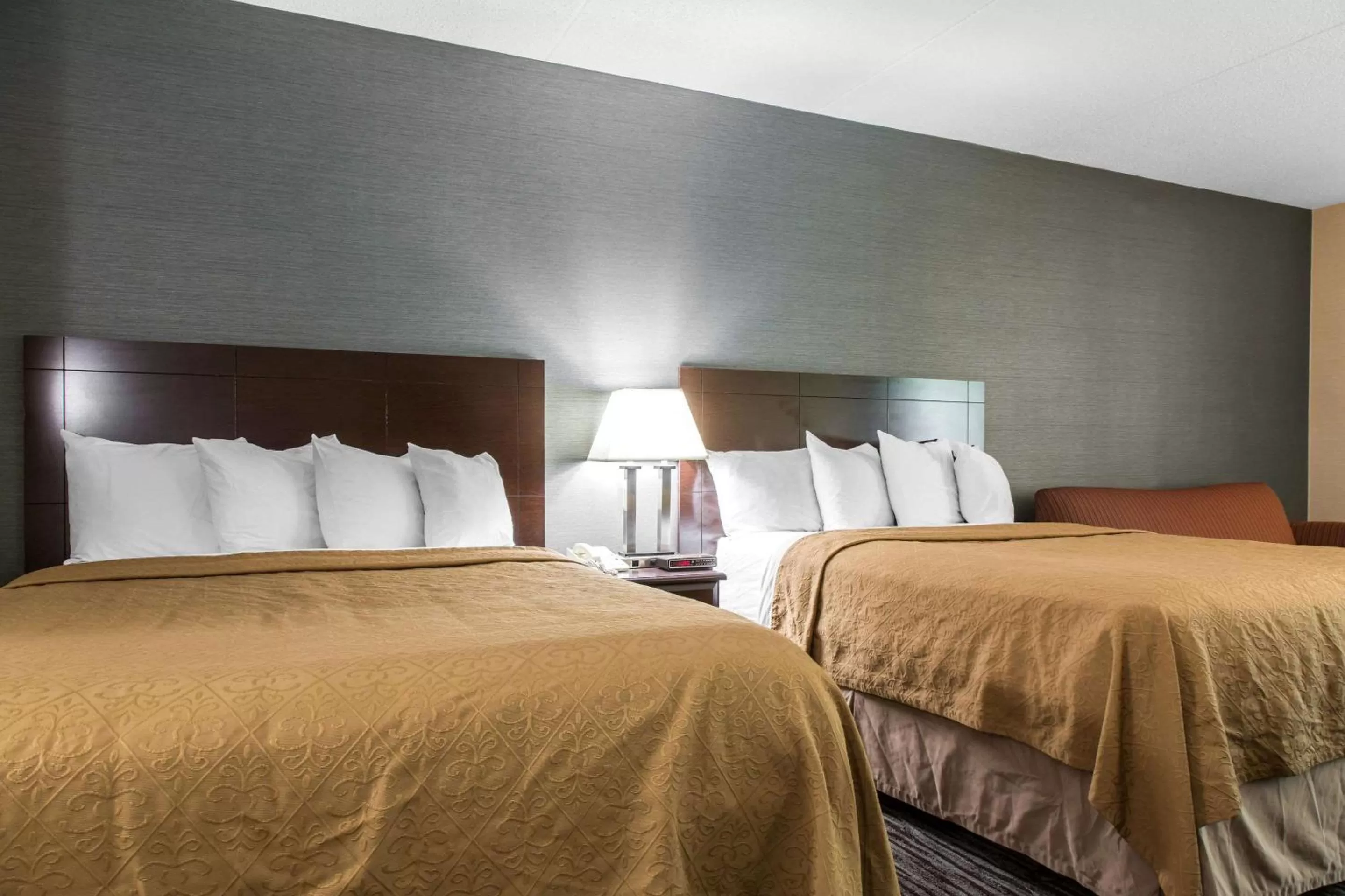 Photo of the whole room, Bed in Quality Inn & Suites Danbury near University