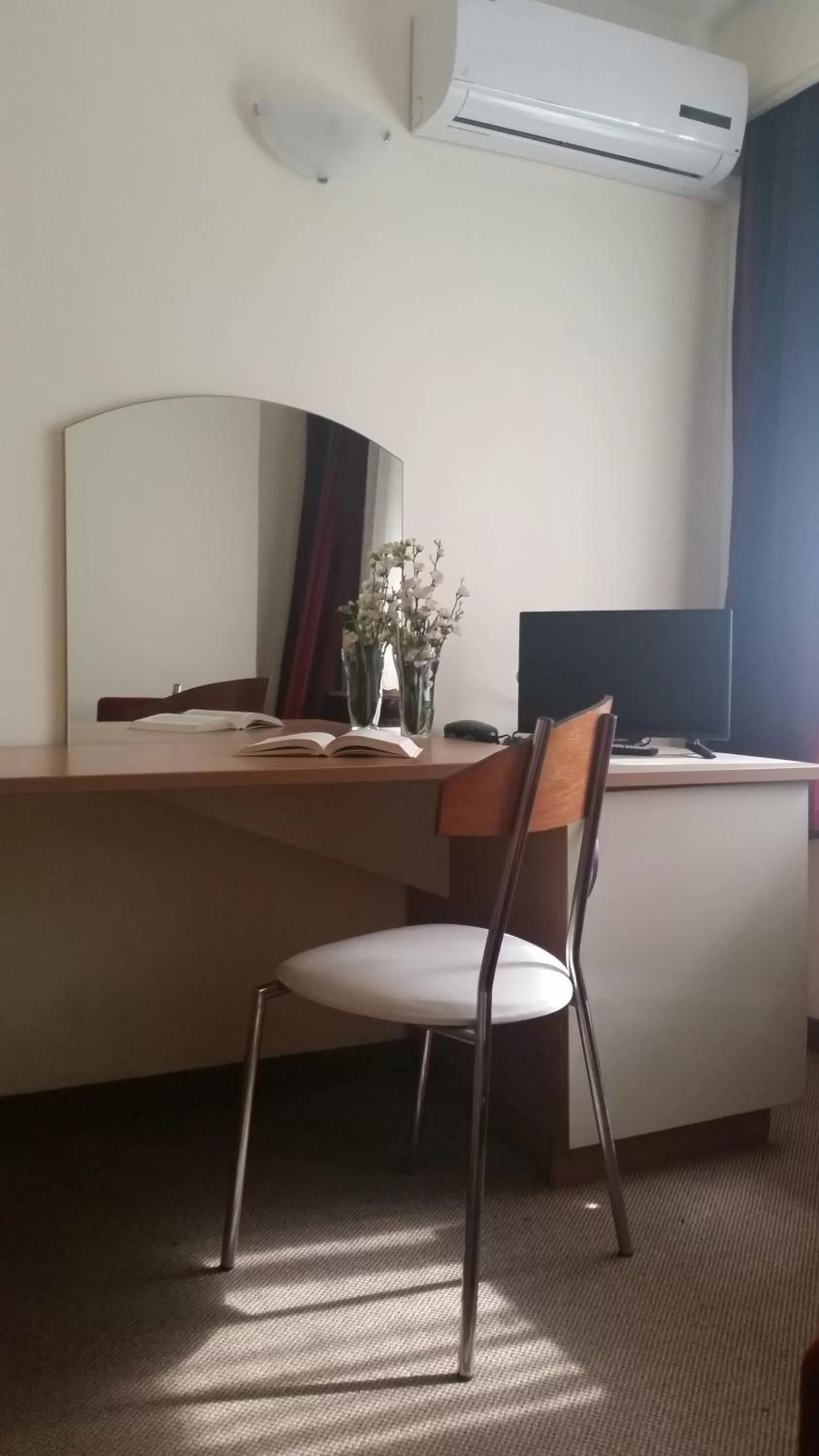 Decorative detail, TV/Entertainment Center in Hotel of Bulgarian Academy of Sciences