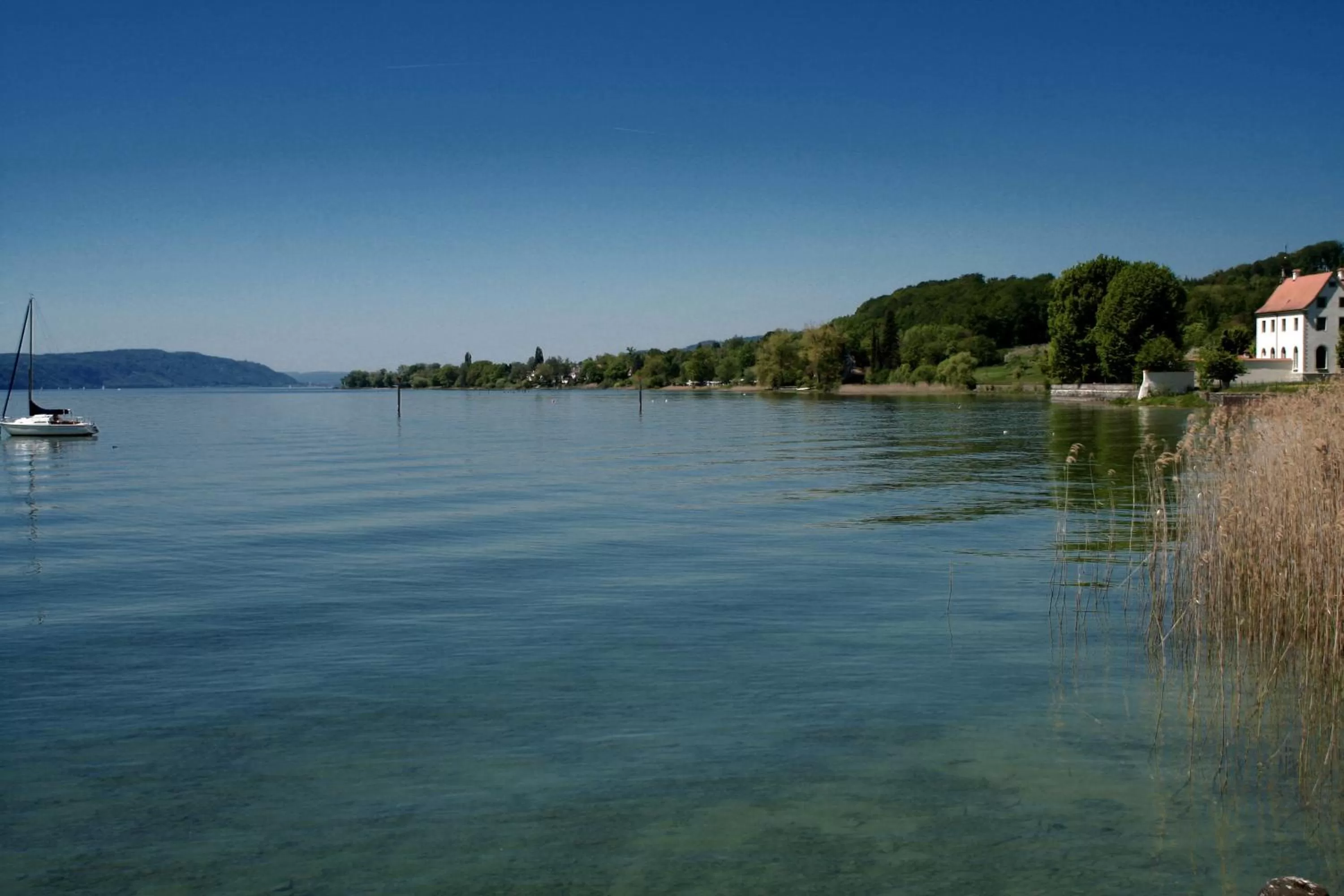 Natural landscape in Pilgerhof und Rebmannshof