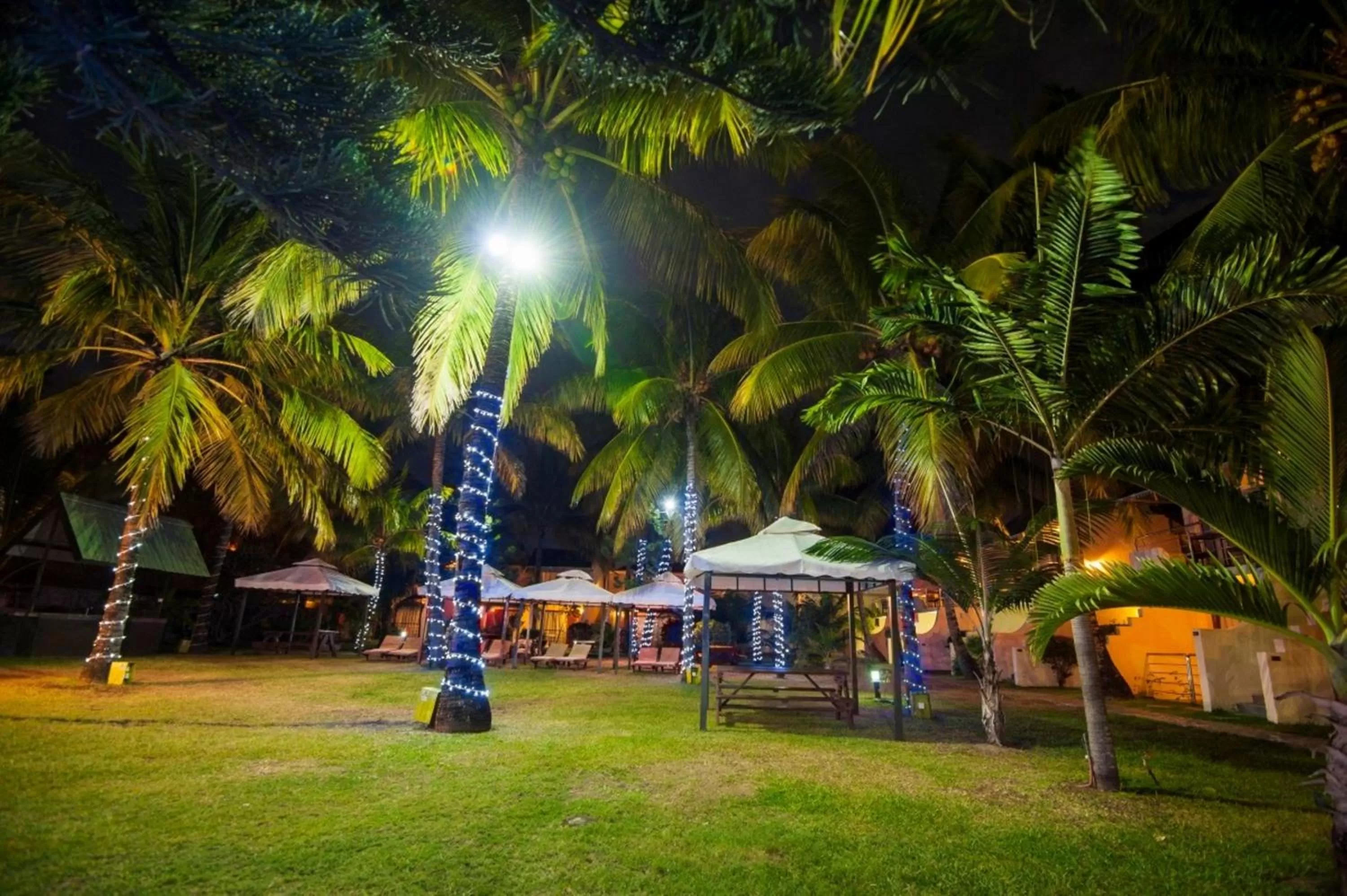 Garden in Manisa Hotel