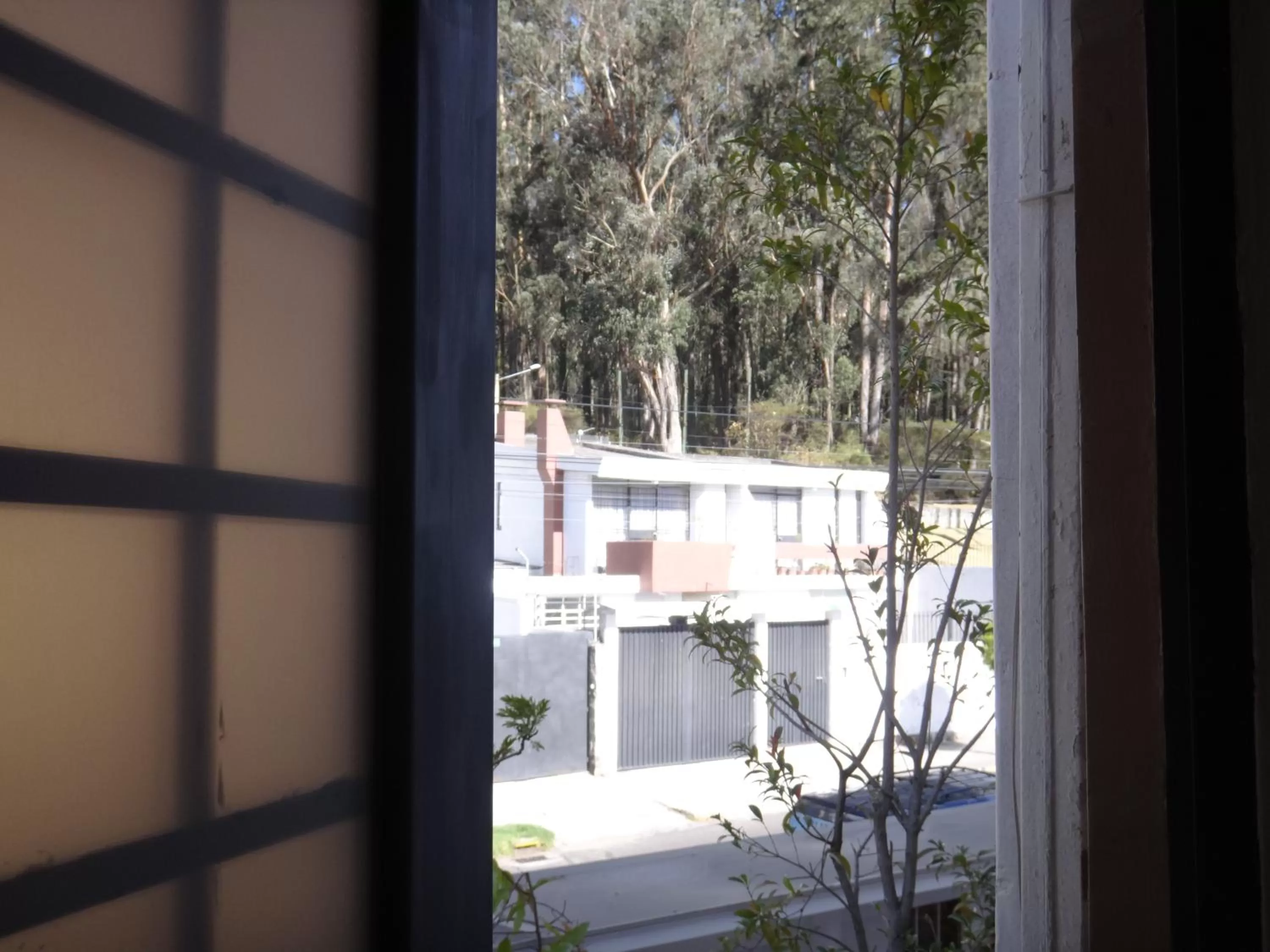 Balcony/Terrace in Bed and Breakfast La Uvilla