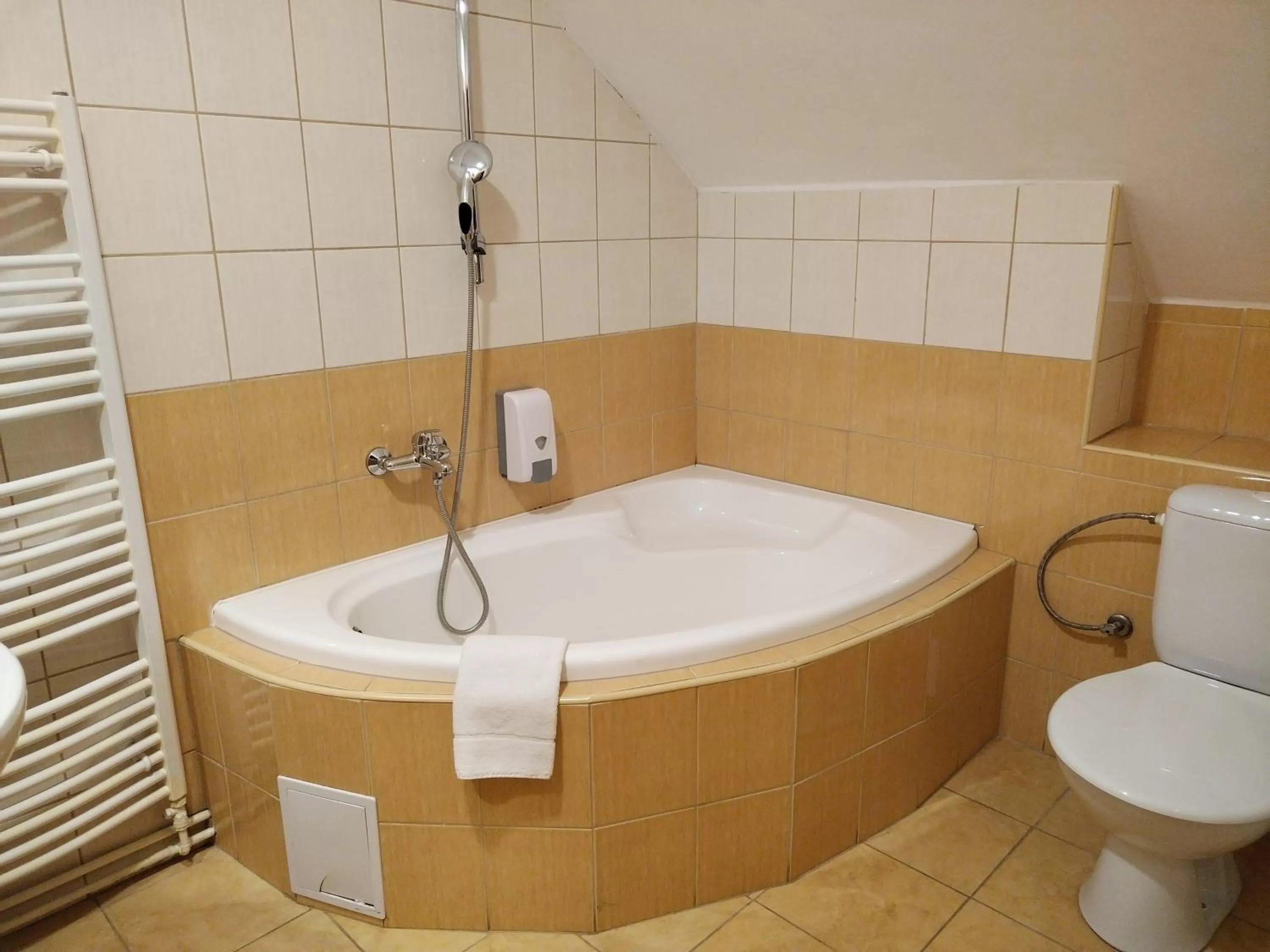 Toilet in Hotel Boršičanka