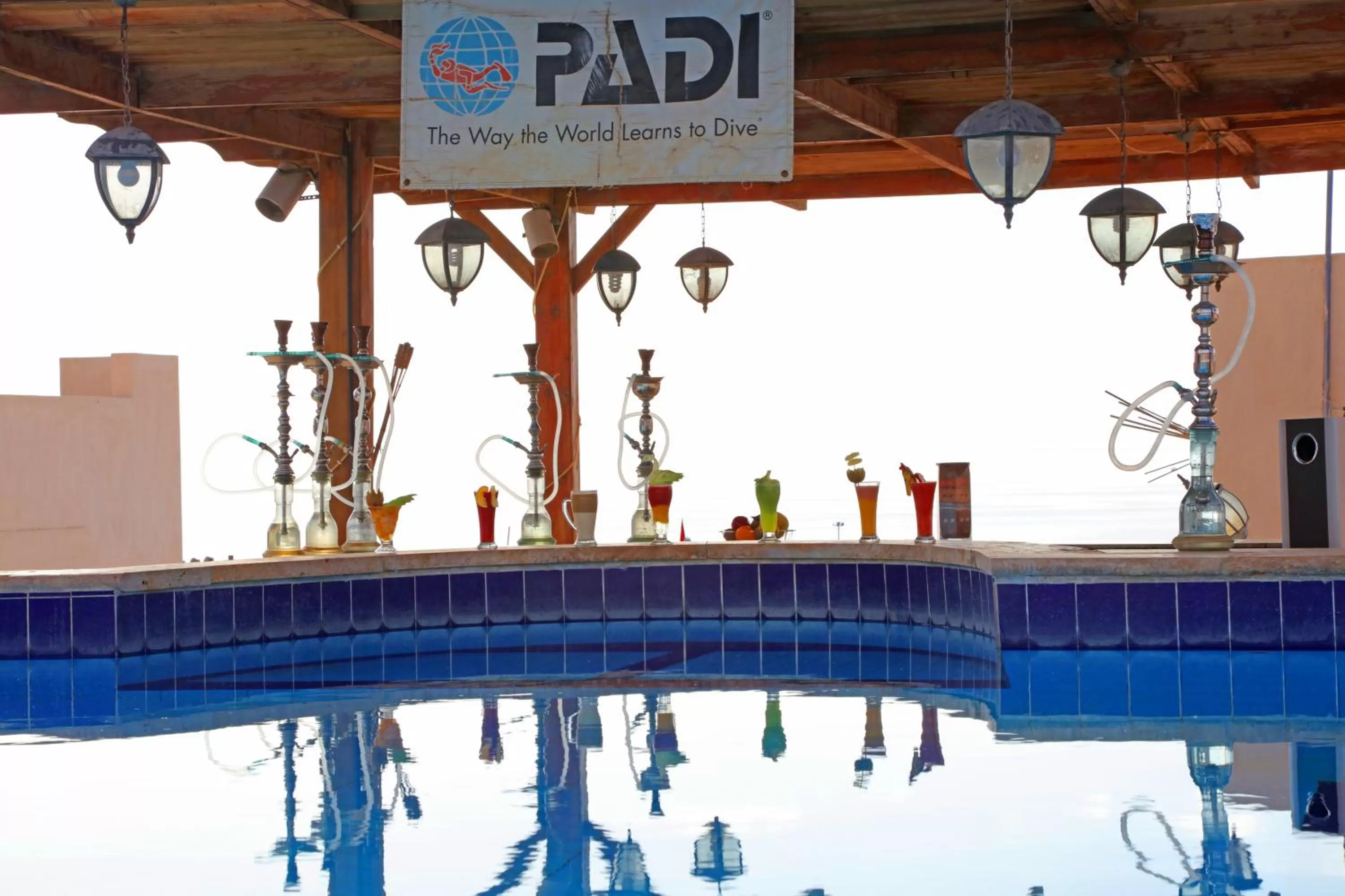 Lounge or bar, Swimming Pool in Aqaba Adventure Divers Resort & Dive Center