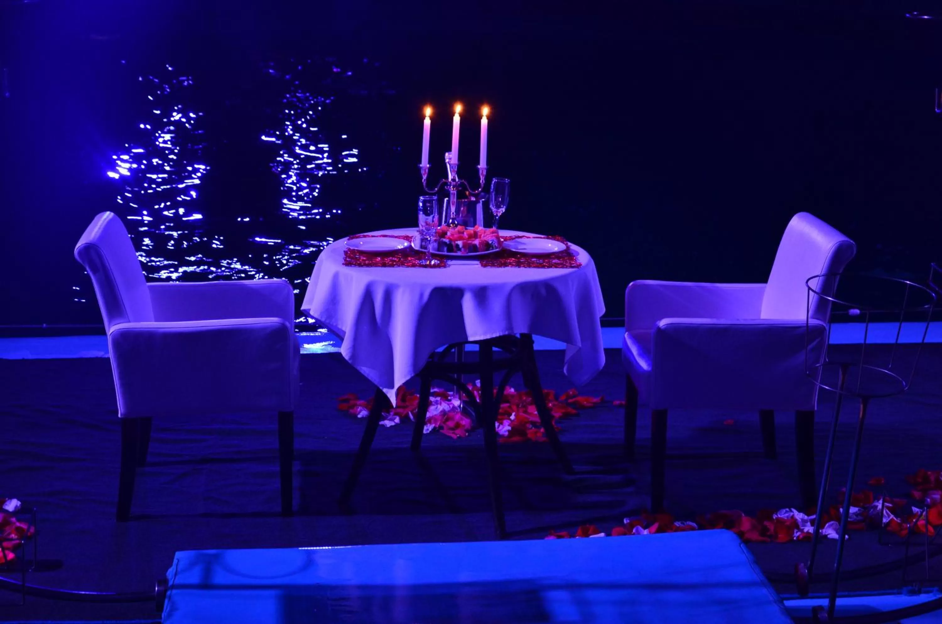 Restaurant/Places to Eat in Hotel & Spa NEMO with dolphins