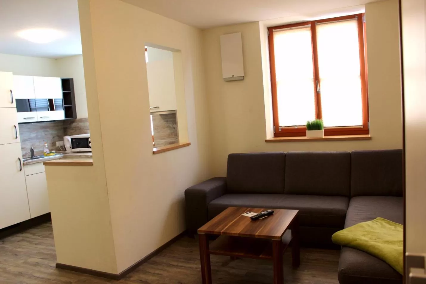 TV and multimedia in greenpartment Boardinghouse Neustadt