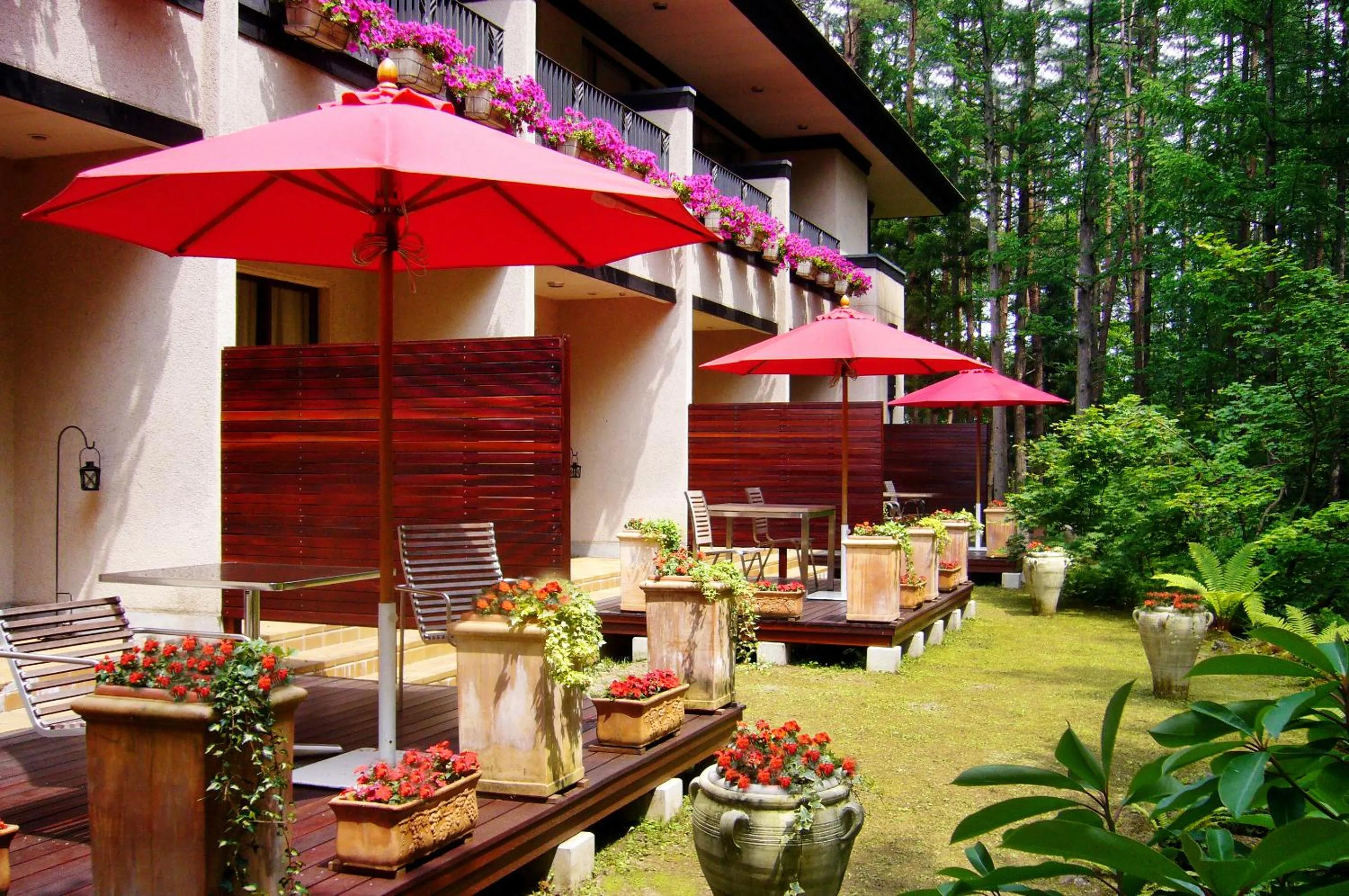 Garden in Hotel La Neige