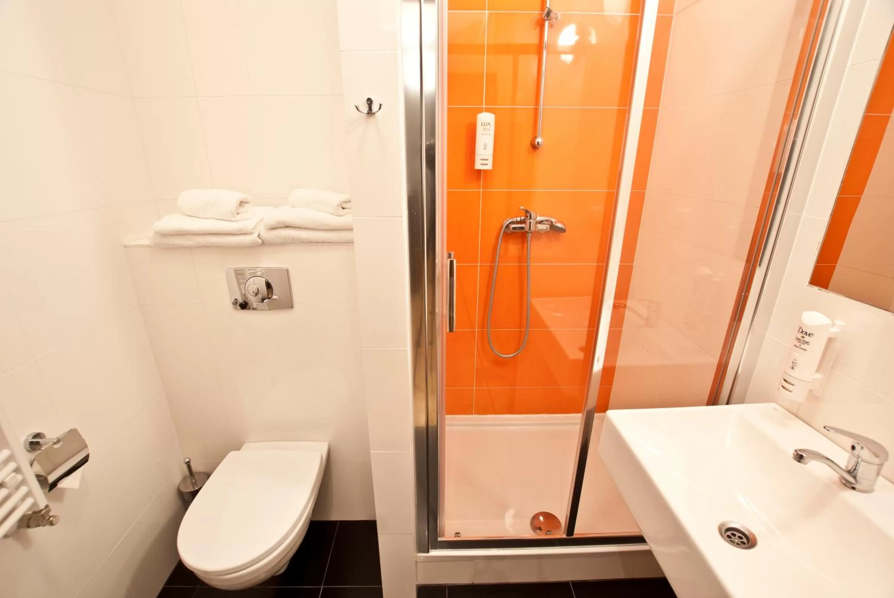 Shower, Bathroom in Dom Pracy Twórczej