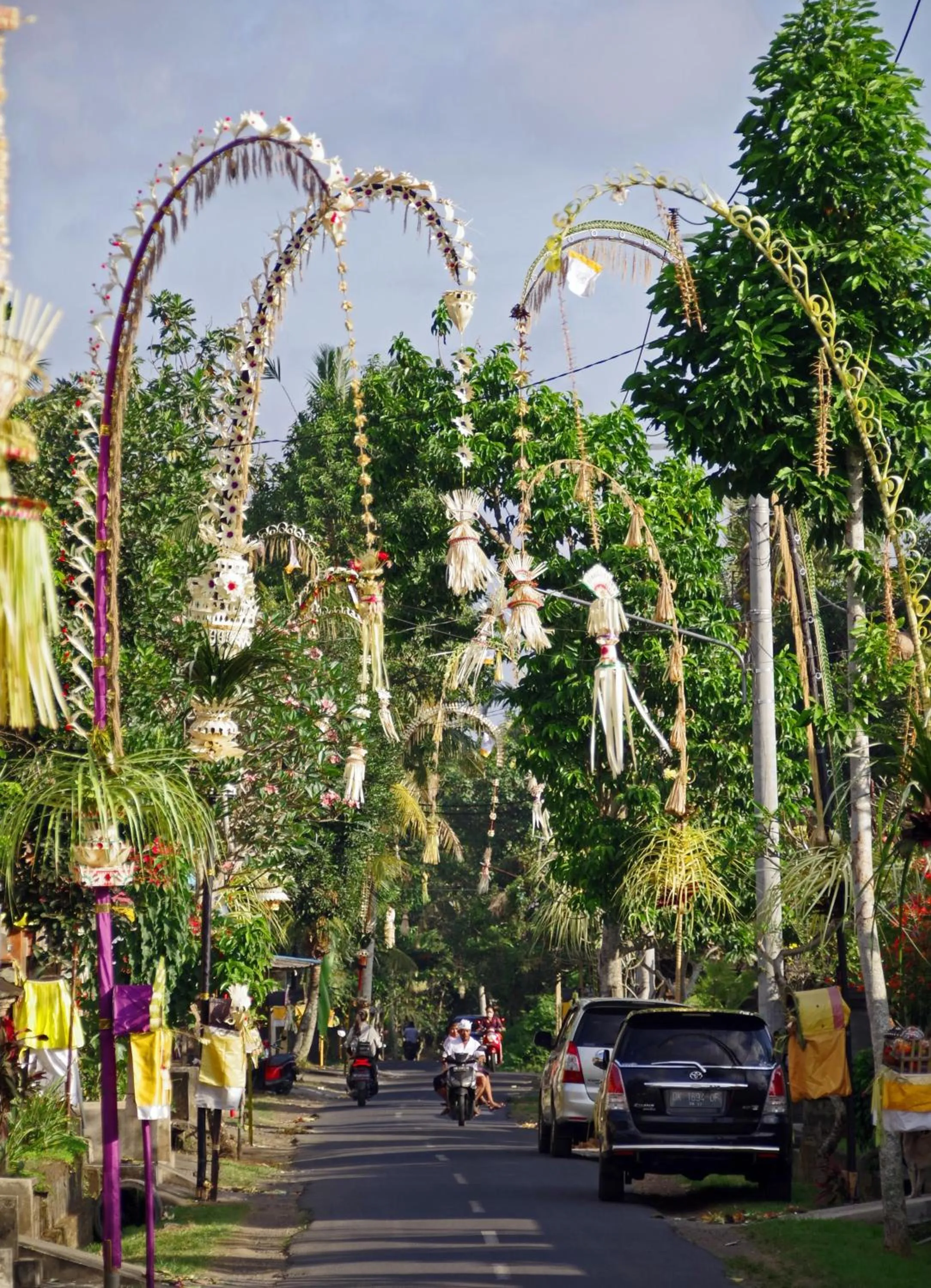 Neighbourhood in Ubad Retreat