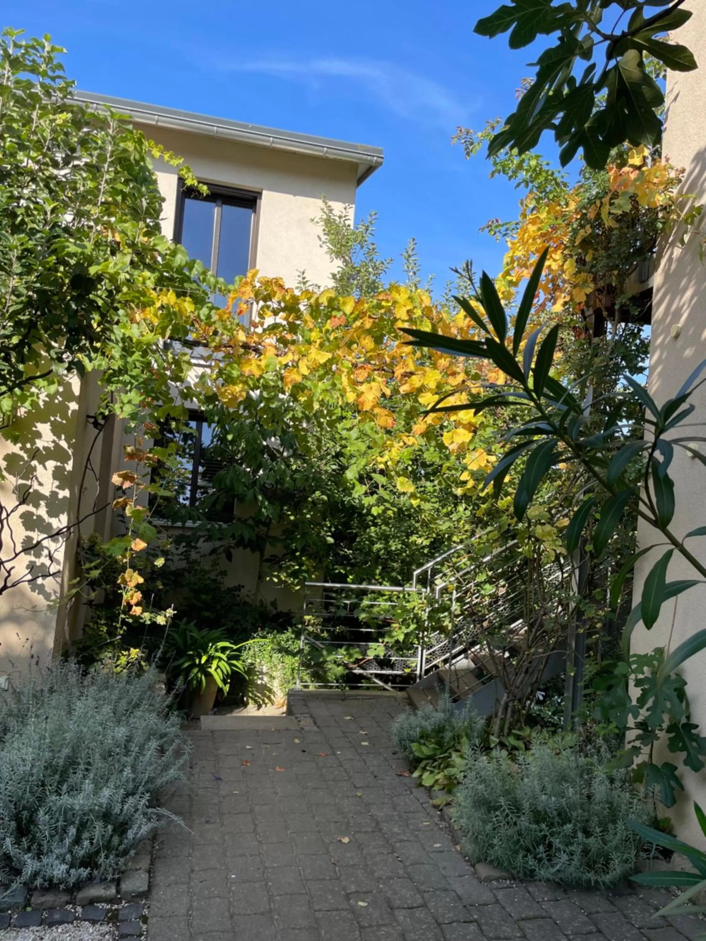 Patio in Jugendstil-Hof