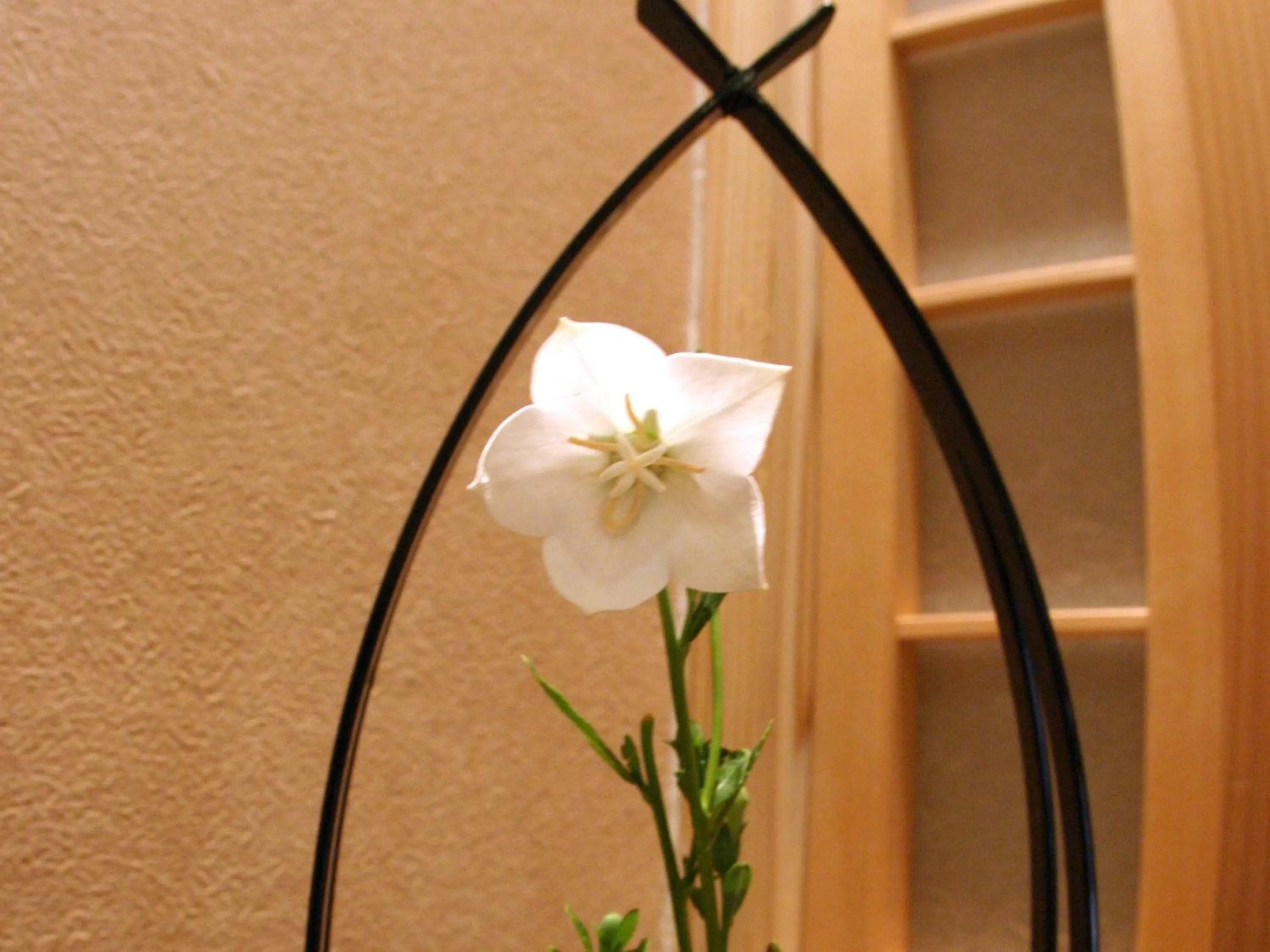 Photo of the whole room in Ryokan Shinsen
