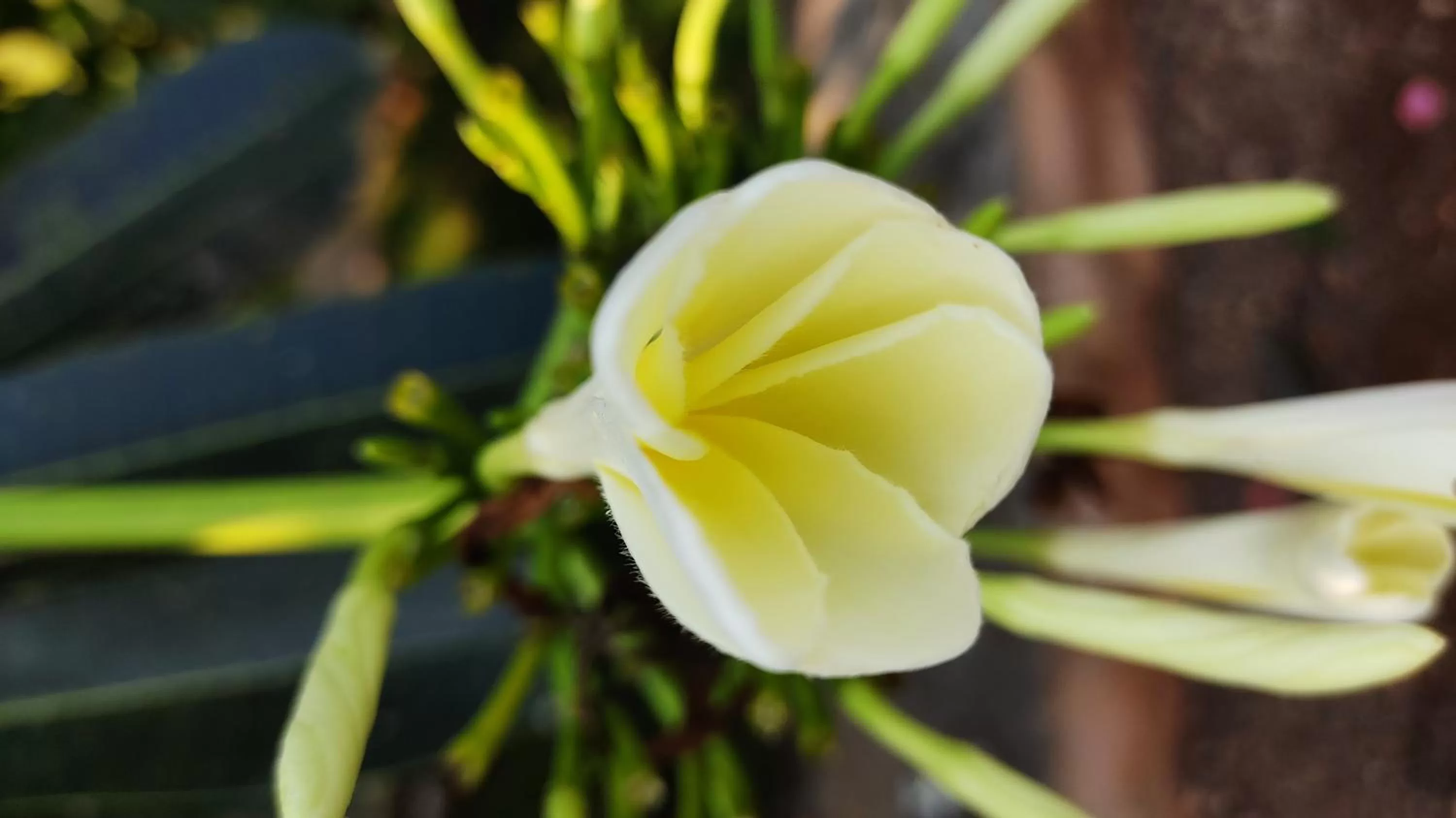 Area and facilities in Kanthi Resorts Badami