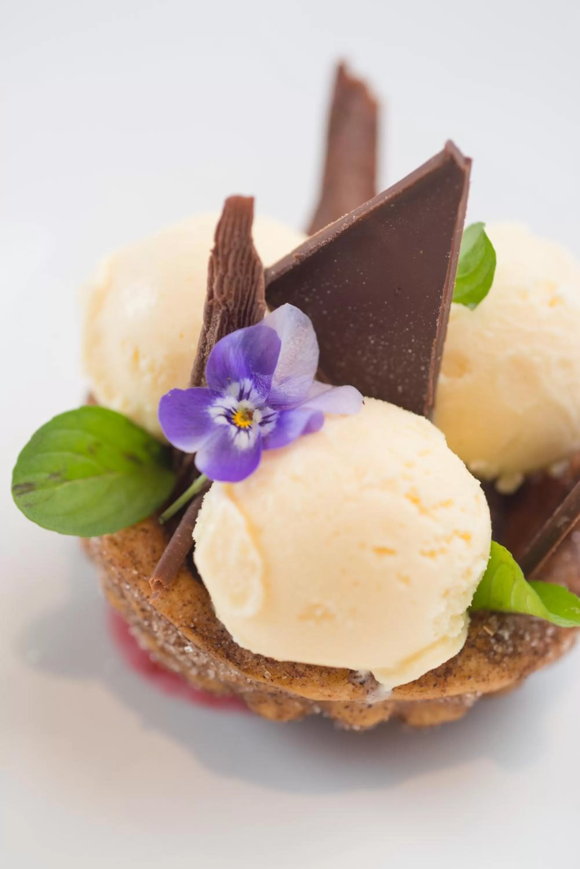 Food and drinks in Plaza Grande Hotel