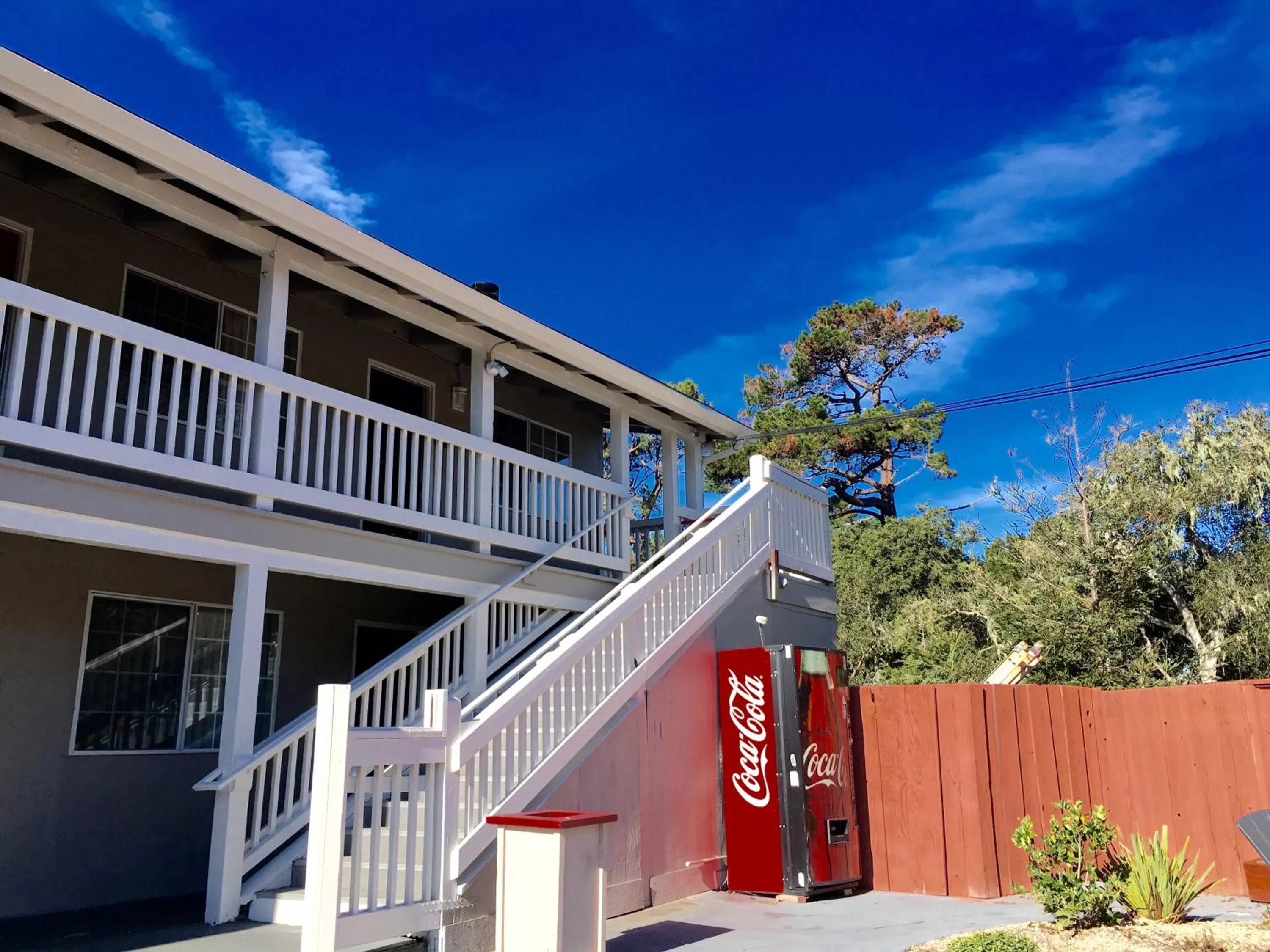 Food and drinks in Pelican Inn