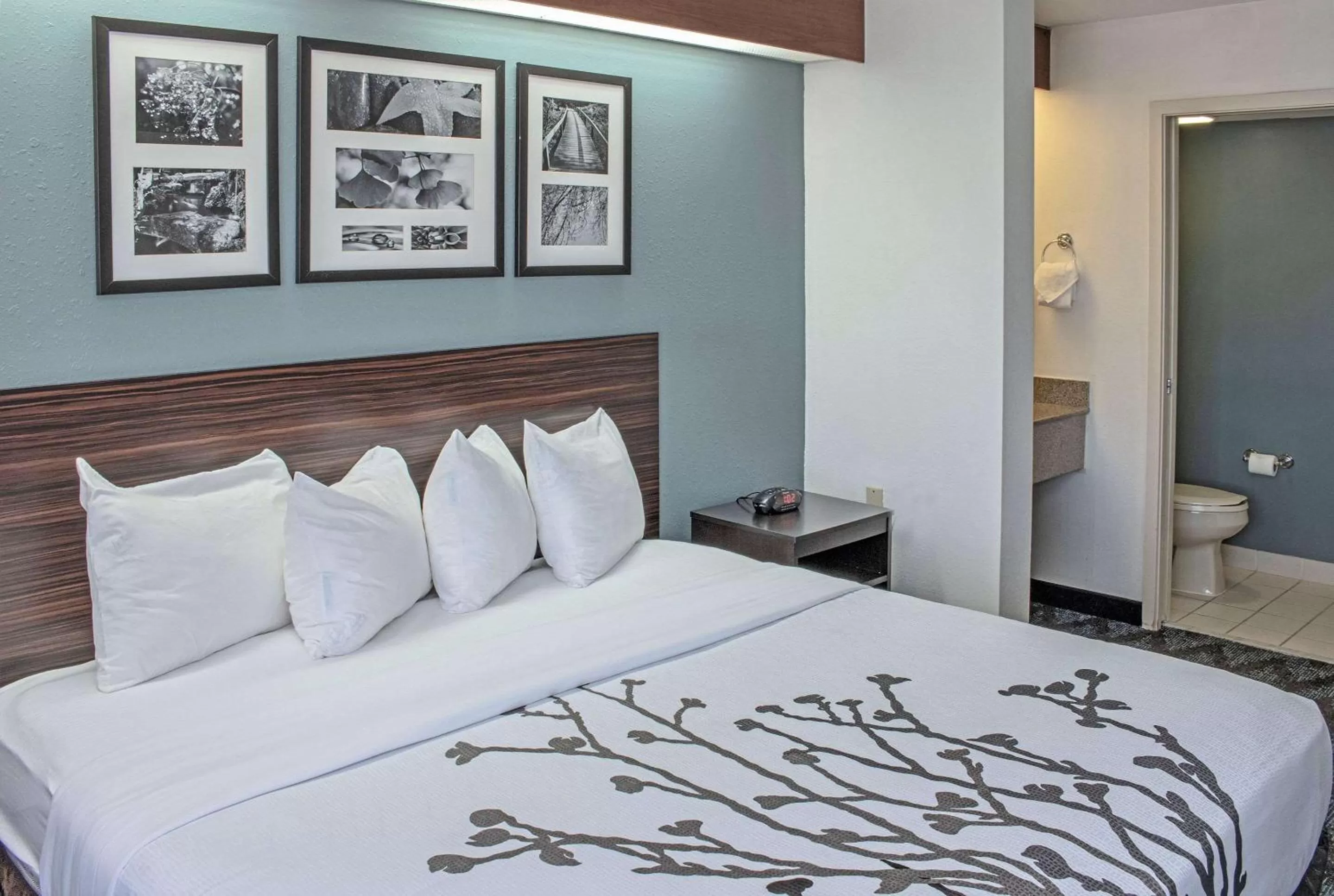 Bedroom, Bed in Sleep Inn Lake Wright - Norfolk Airport