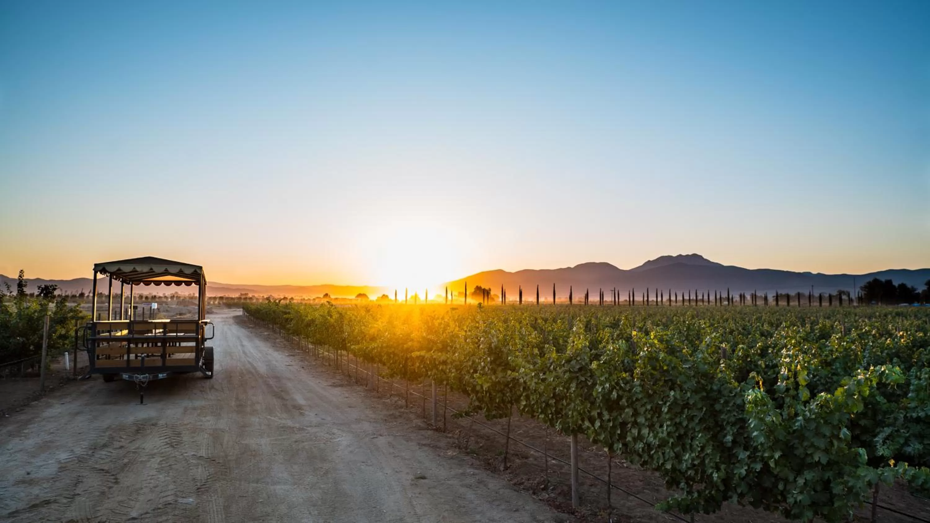 Hiking in El Cielo Resort