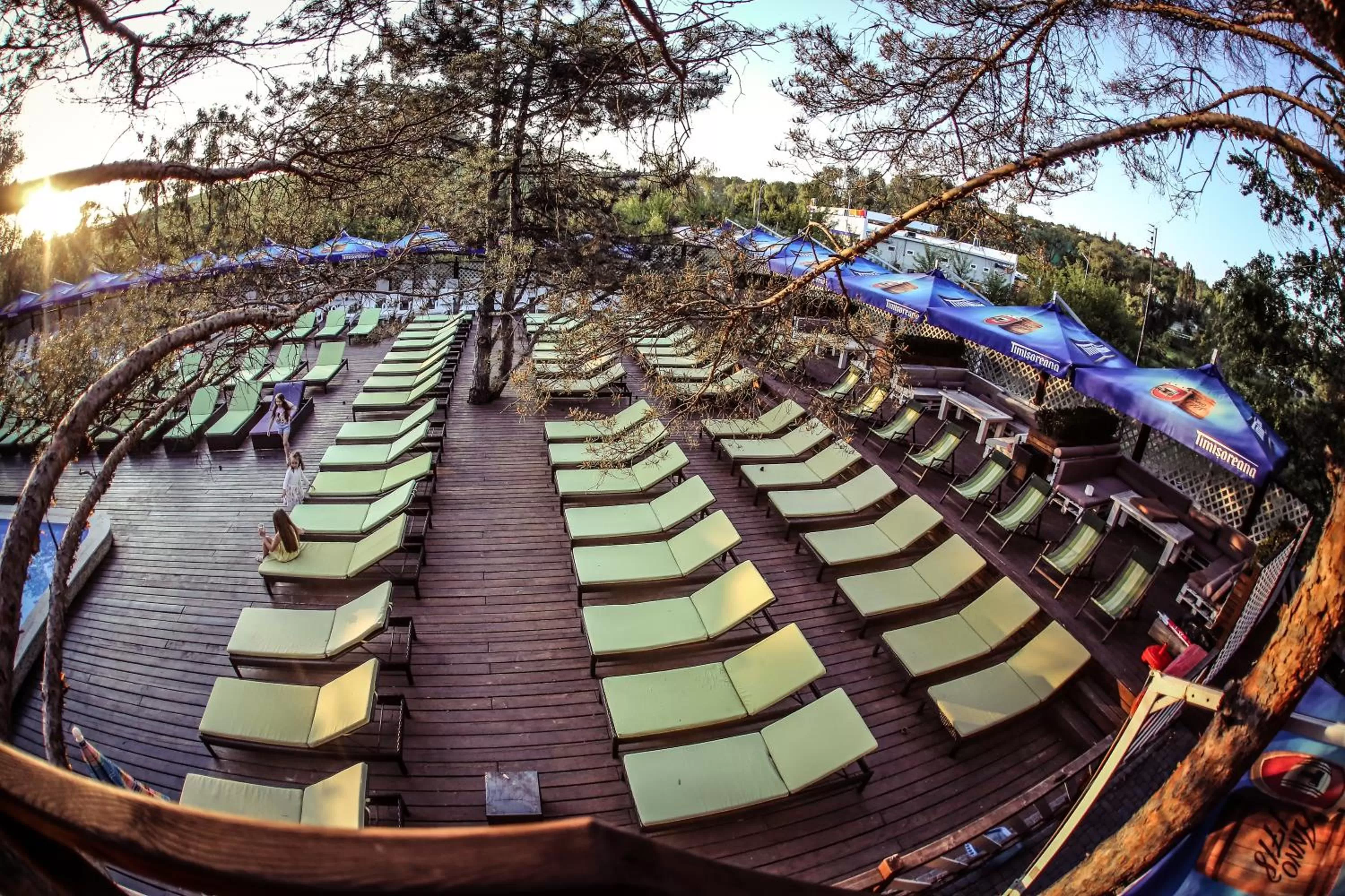 Beach in Tree House Relax Park