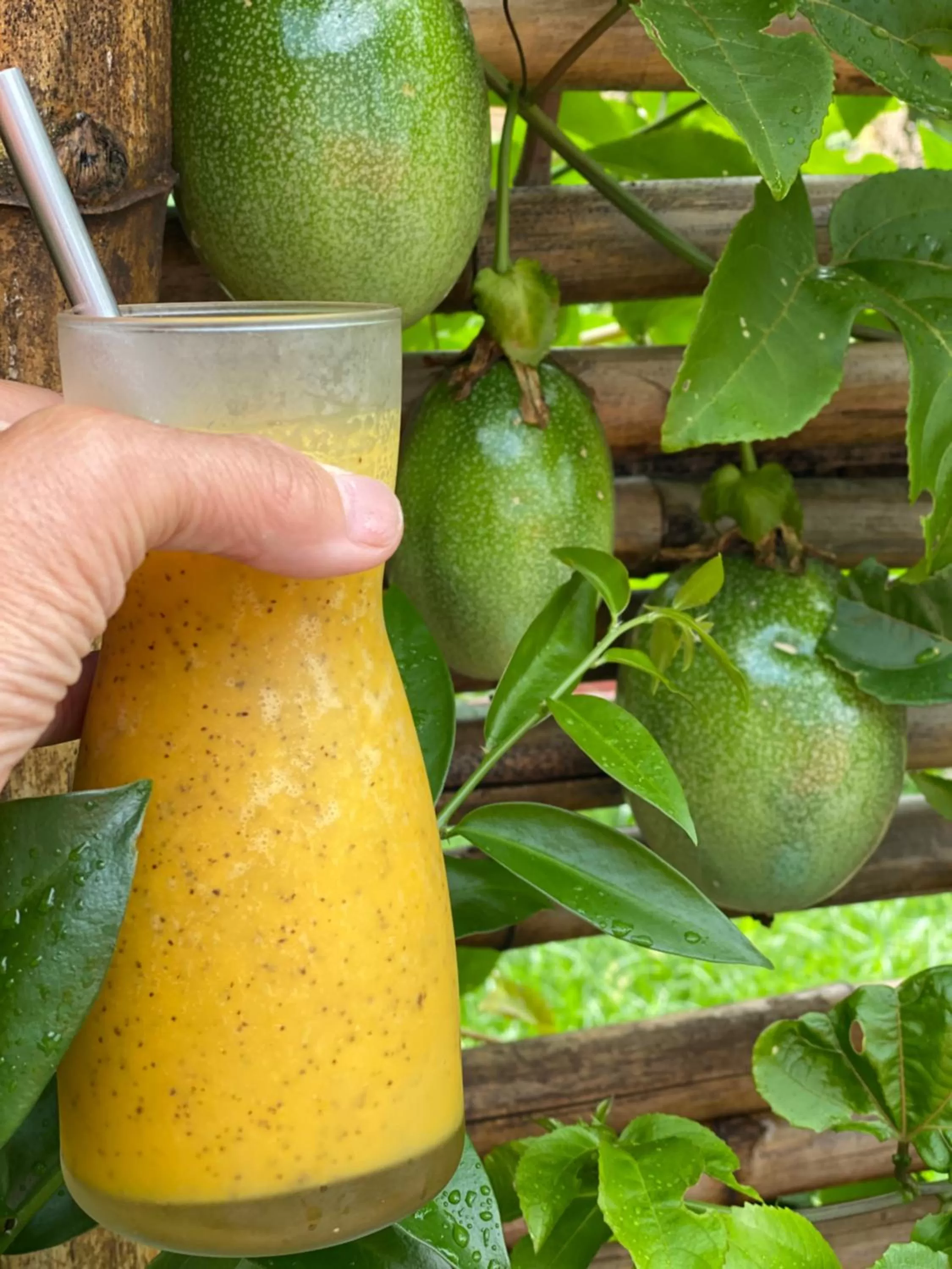 Breakfast in Janela de Marcia Bed and Breakfast