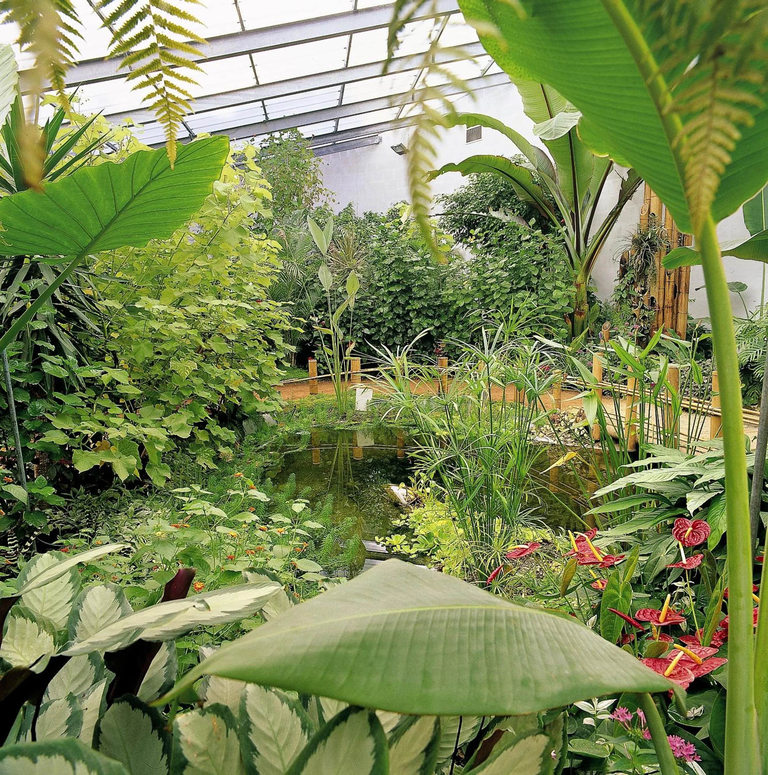 Natural landscape in Ibis Orleans La Chapelle Saint Mesmin