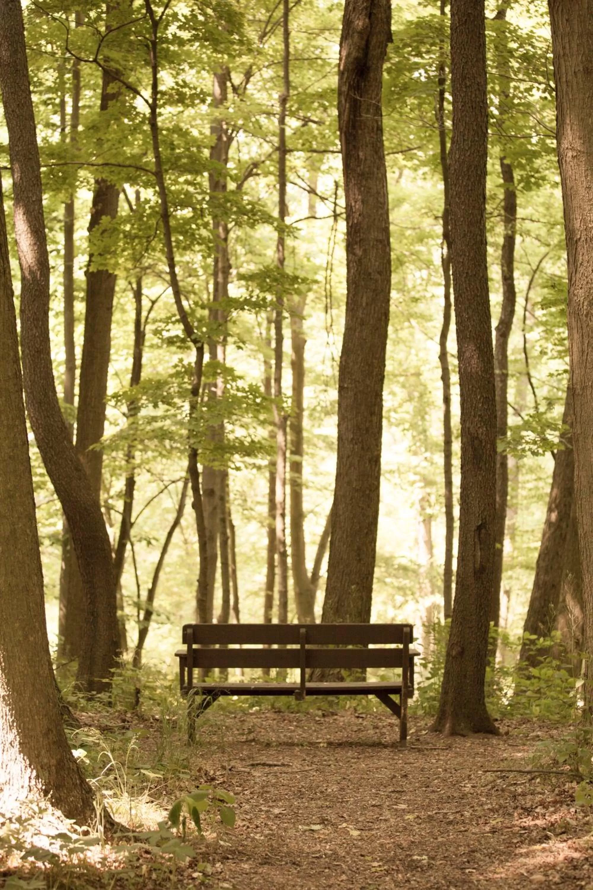 Day in The Inn at Honey Run Millersburg