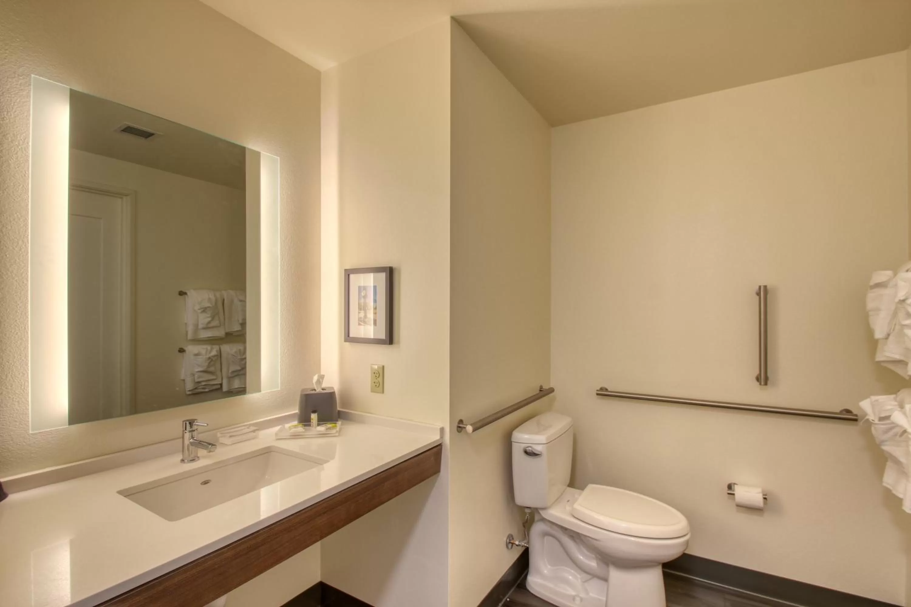 Bathroom in Holiday Inn - Appleton by IHG