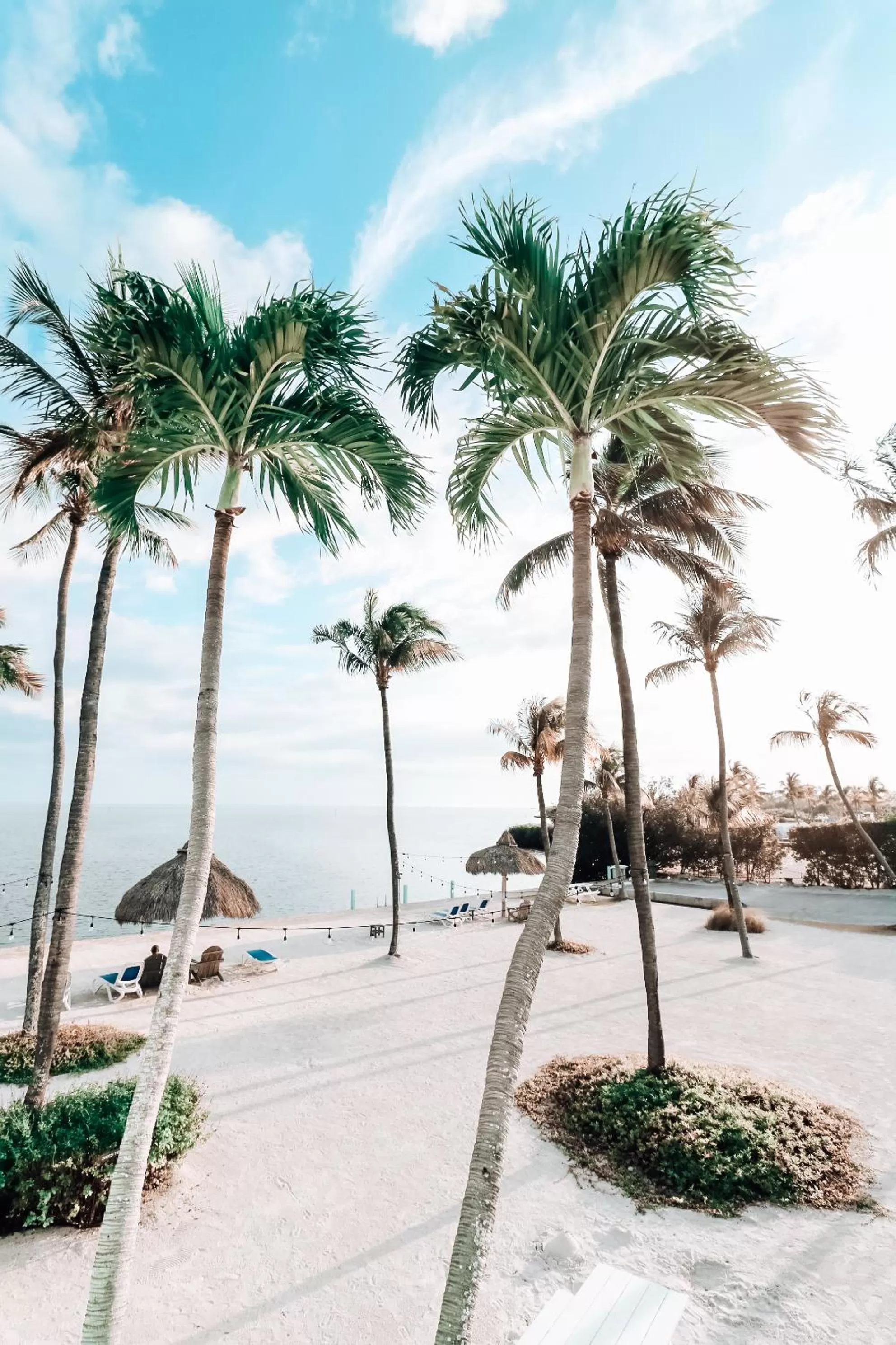 Natural landscape in Drop Anchor Resort & Marina