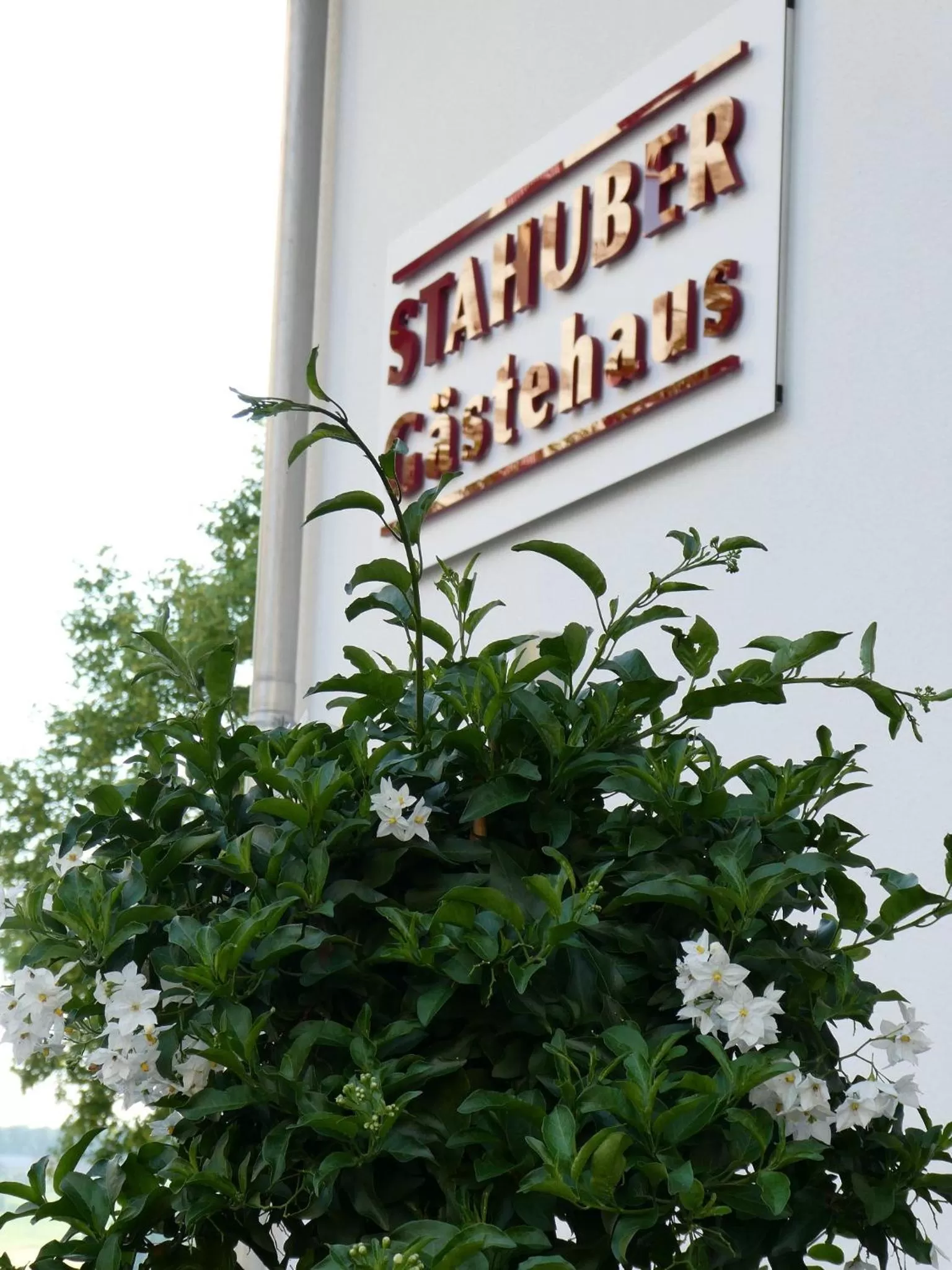 Property logo or sign, Property Logo/Sign in Gästehaus Stahuber