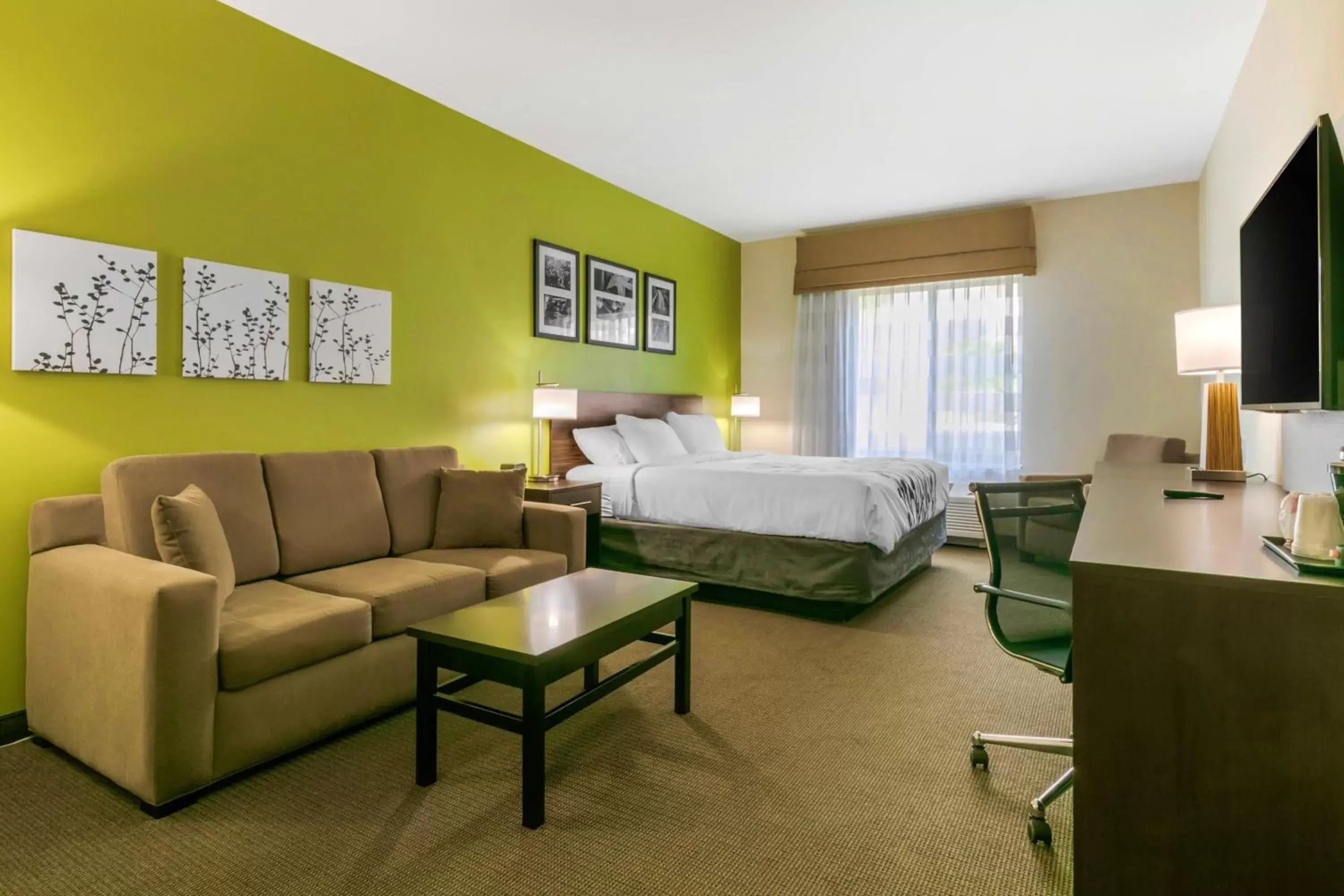 King Suite with Sofa Bed - Non-Smoking in Sleep Inn & Suites Columbia I-65 King Suite with Sofa Bed - Non-Smoking in Sleep Inn & Suites Columbia I-65