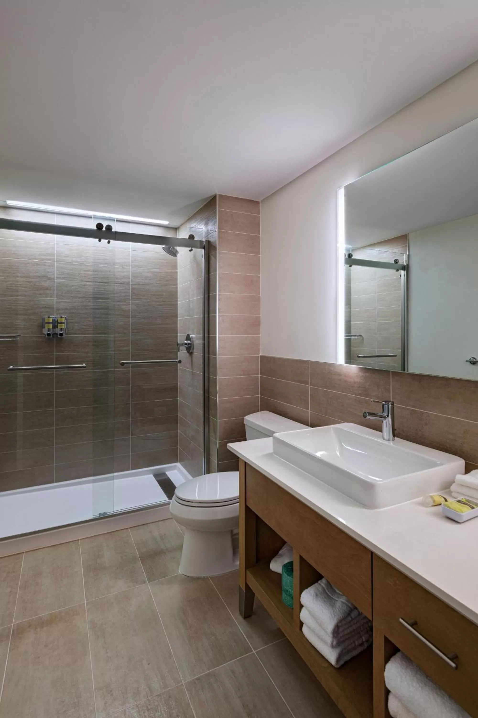 1 Bedroom Suite, 1 King, Sofa bed in Element Spring Valley