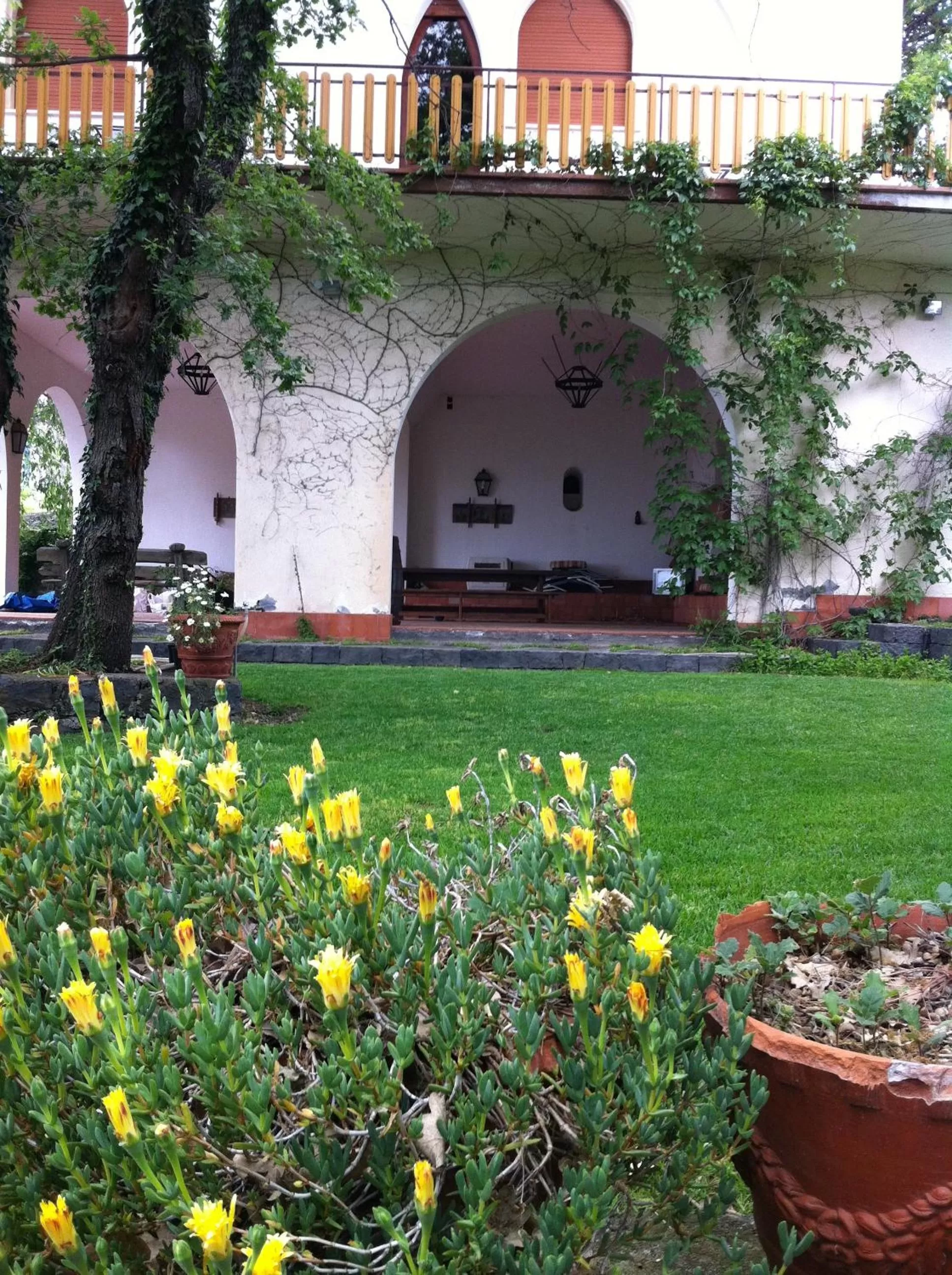 Garden in Domus Verdiana