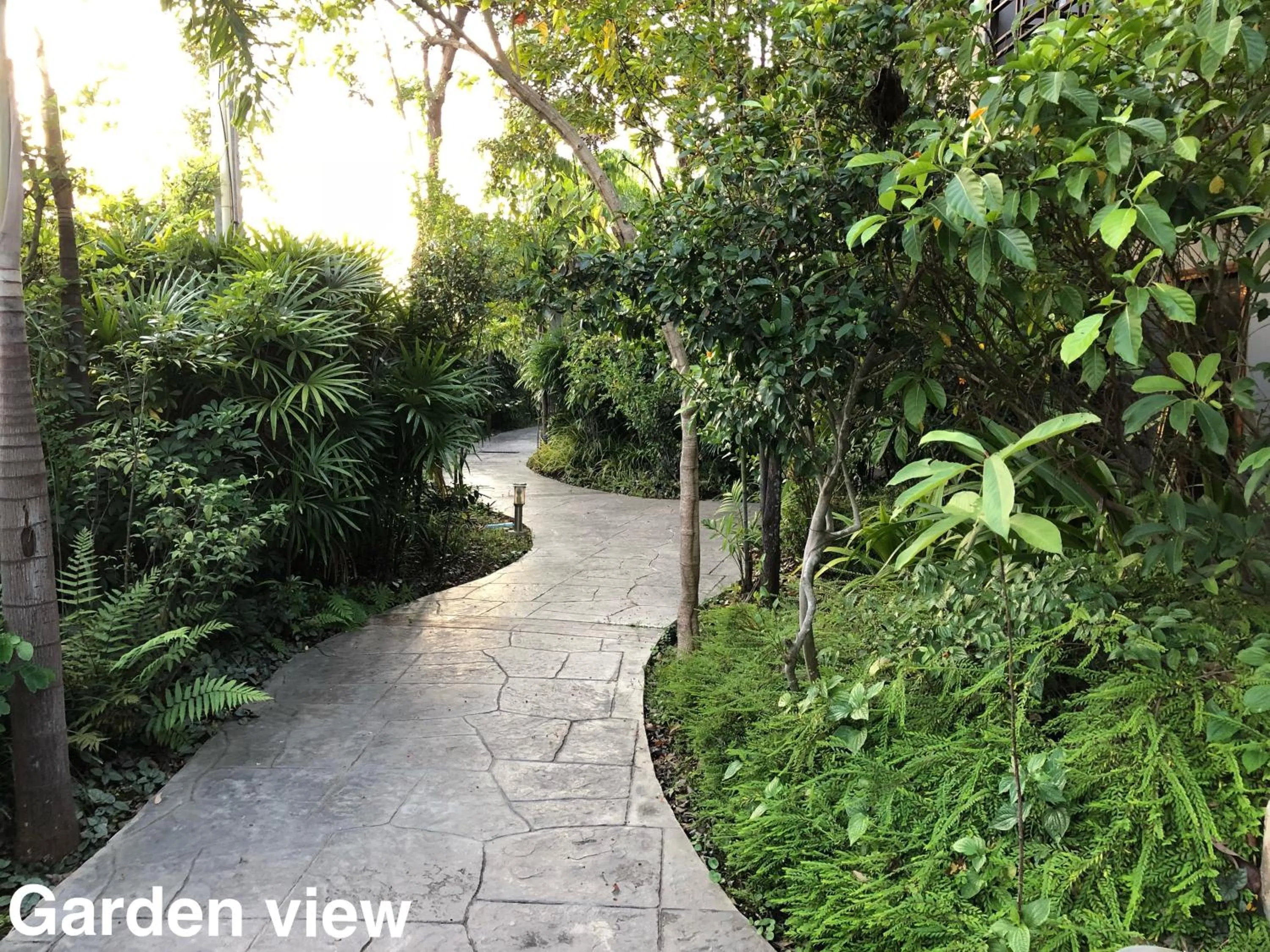 Junior Suite in Taman Resort