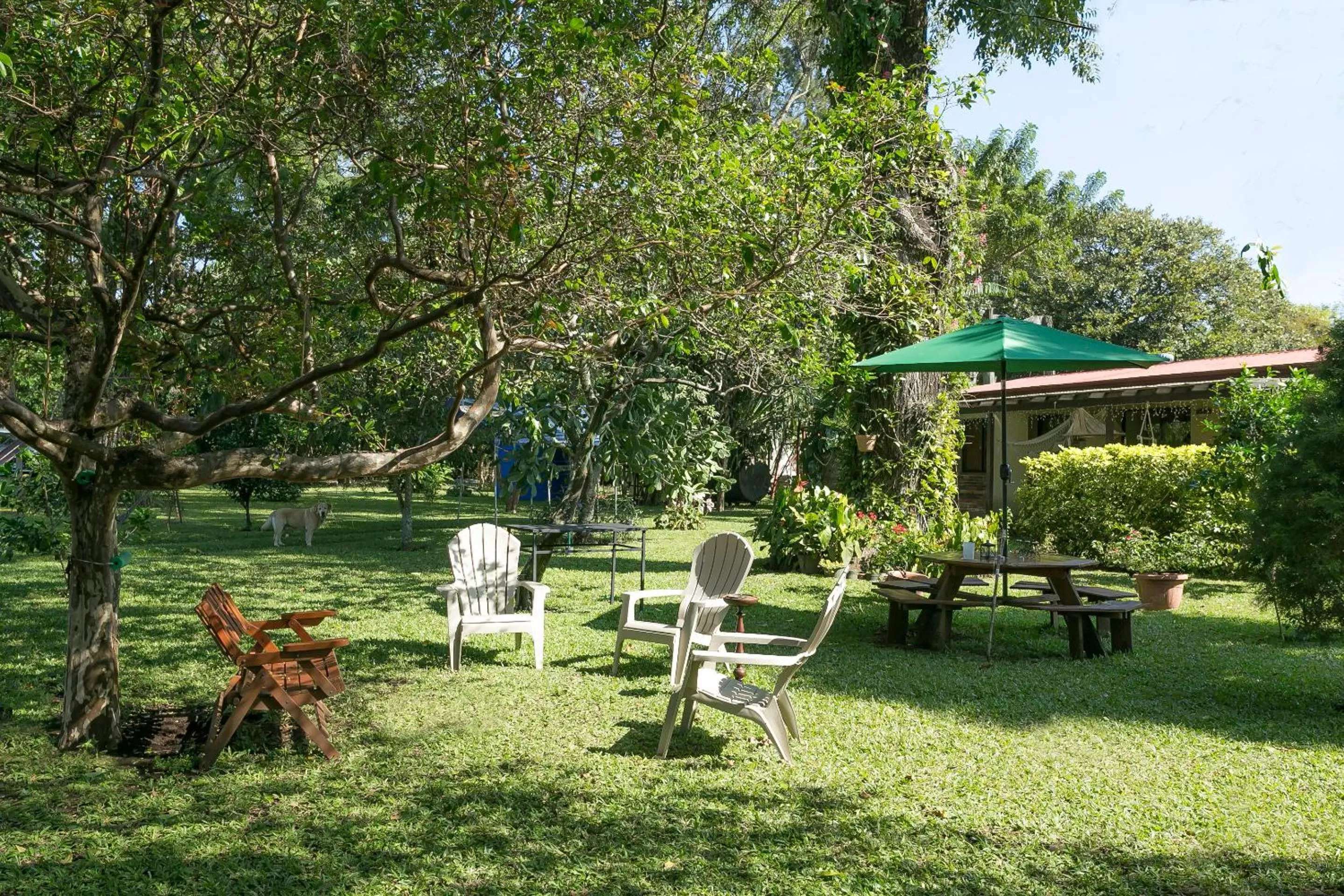 Garden in Airport Costa Rica B&B