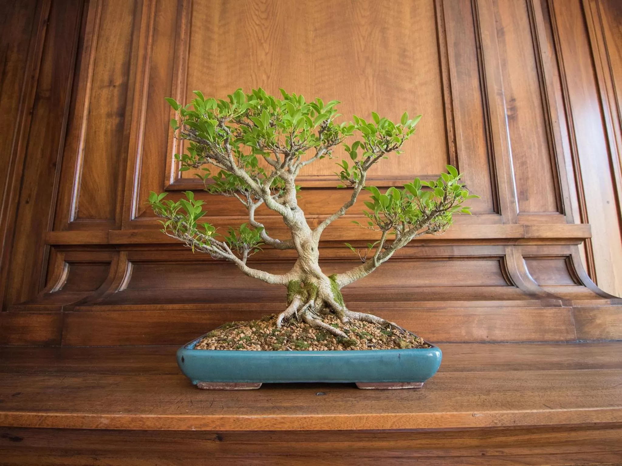 Decorative detail in Hotel des Quinconces Bordeaux Centre