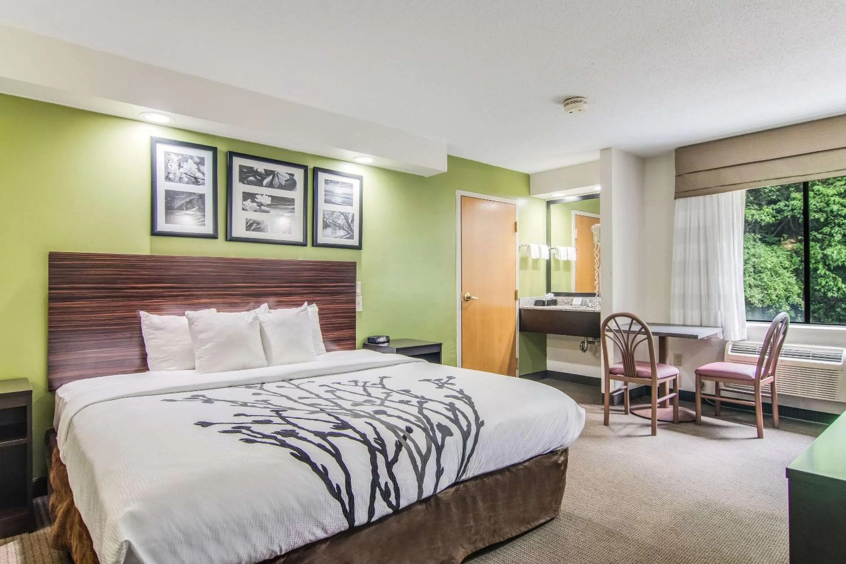 Photo of the whole room, Bed in Sleep Inn Austintown - Youngstown, West