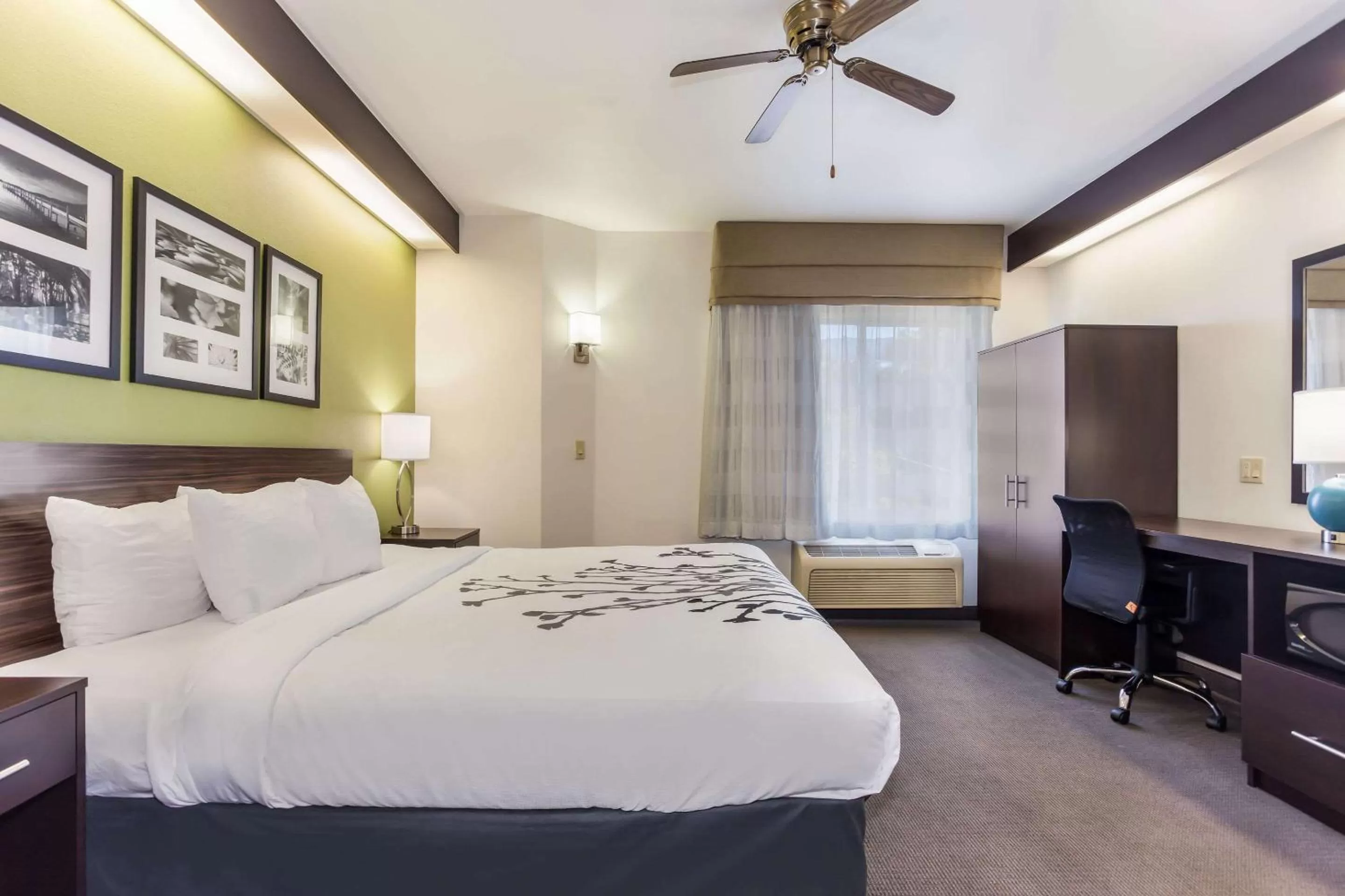 Photo of the whole room, Bed in Sleep Inn Little River - North Myrtle Beach