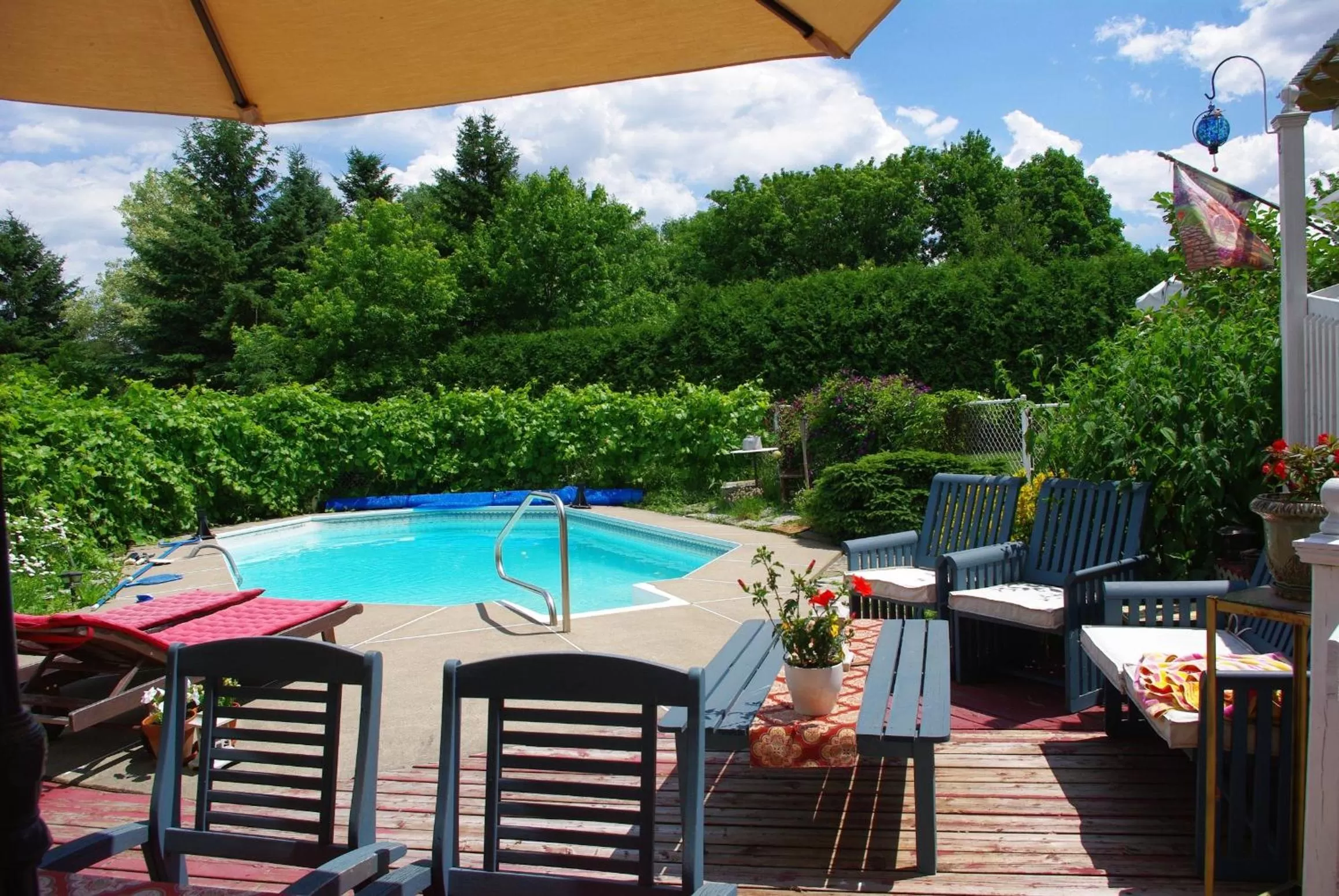 Swimming pool in Atelier Galerie Anne Drouin Peinture & Pension