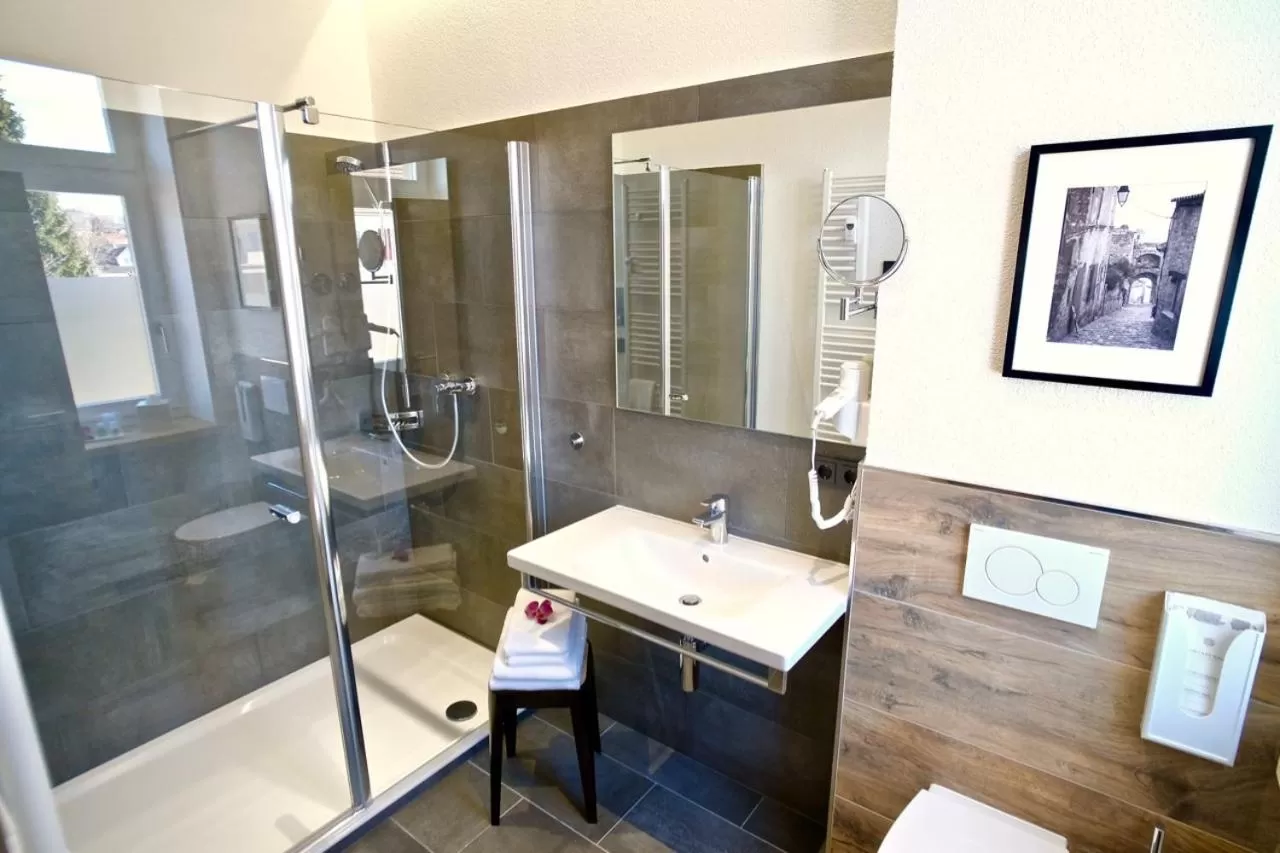 Shower, Bathroom in Bahnhof-Erzingen, hotel, coffee & more