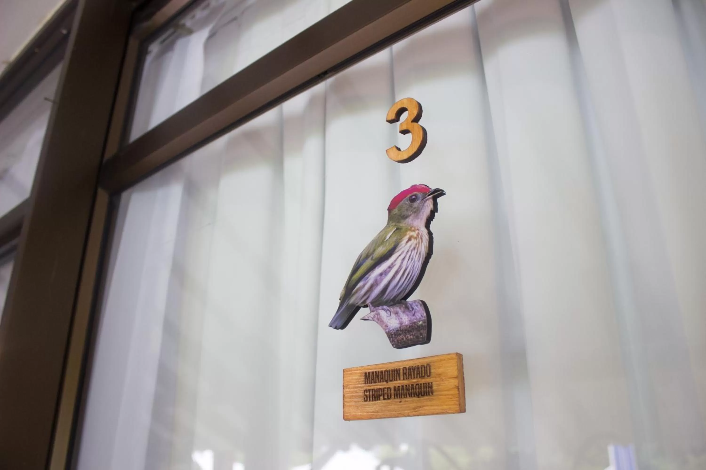 Decorative detail, Other Animals in Cotinga Hotel Spa