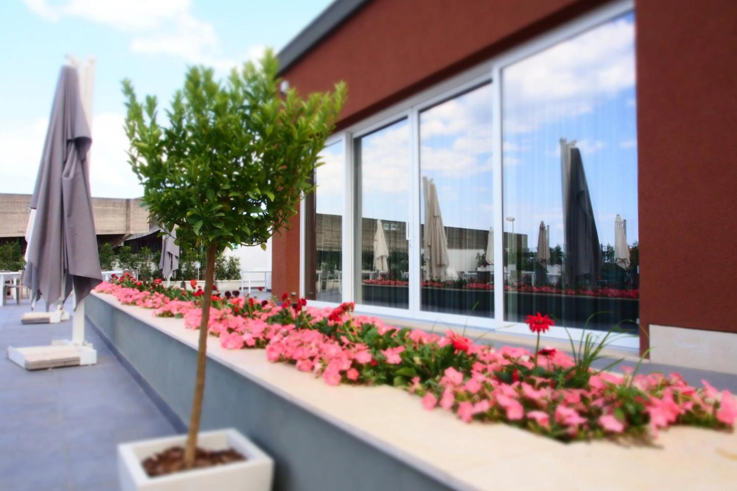 Restaurant/places to eat in Sicilia Hotel Spa