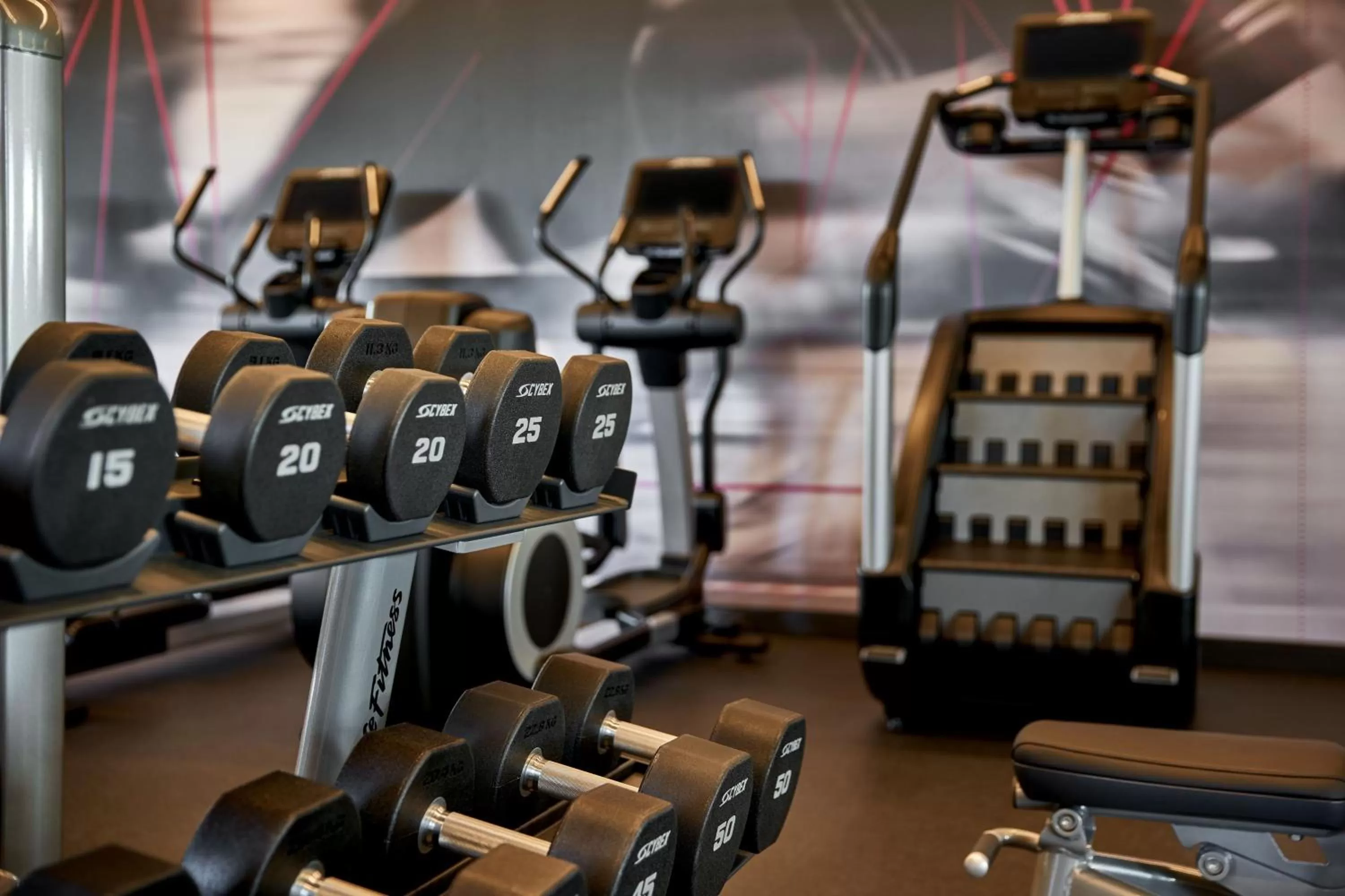 Fitness centre/facilities in Marriott Owings Mills Metro Centre