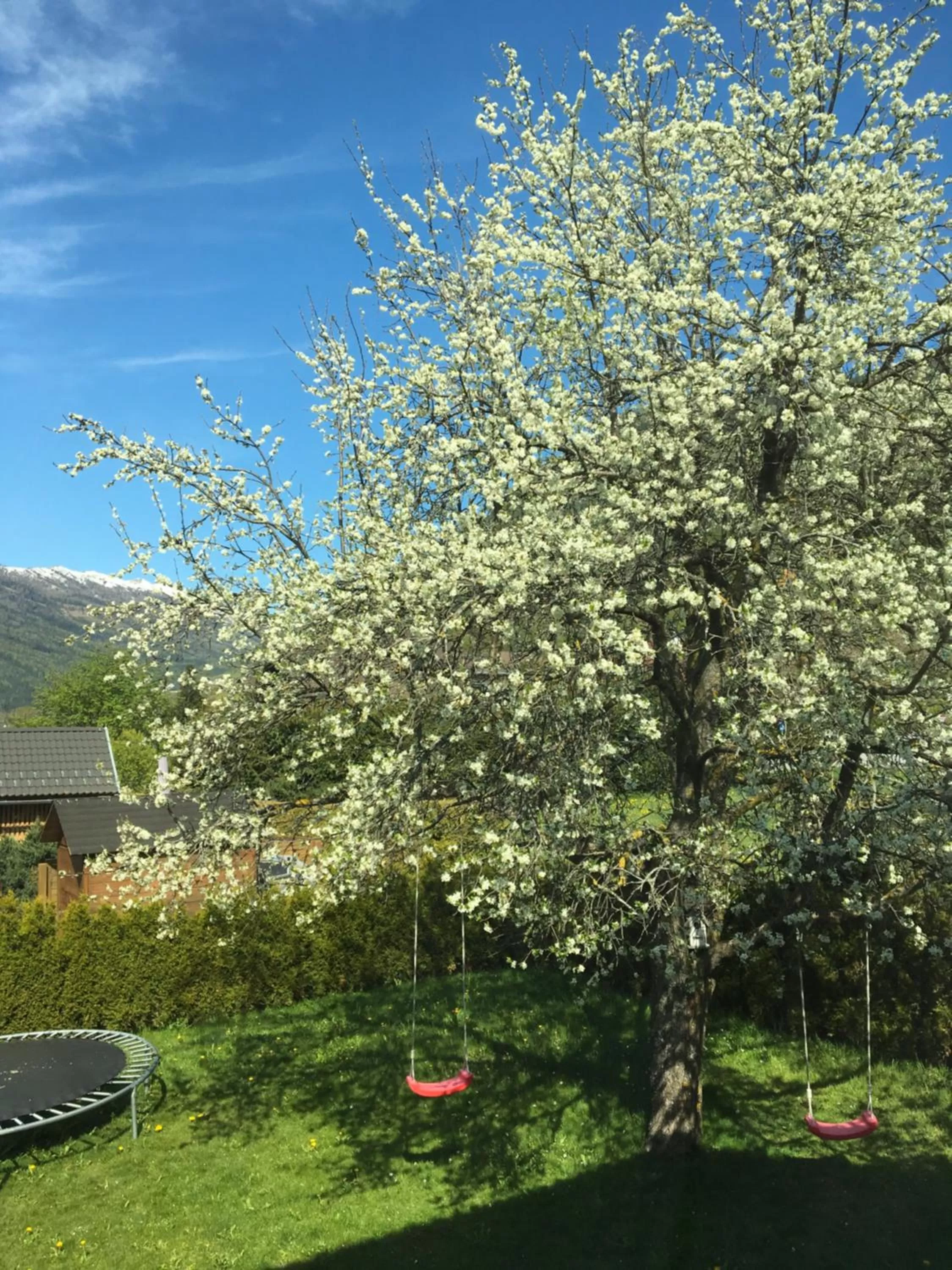 Garden in Haus Nohra