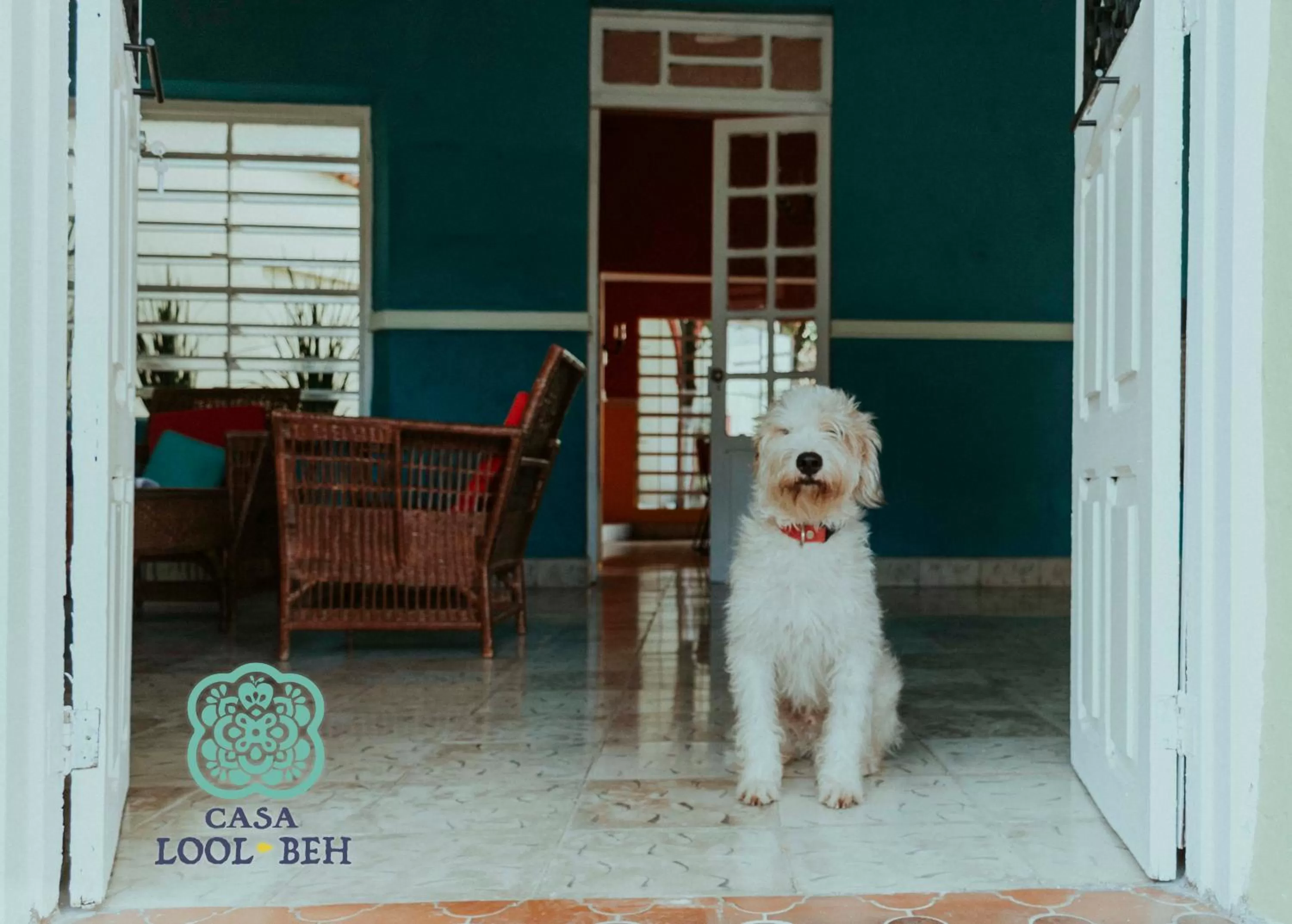 Casa Lool Beh