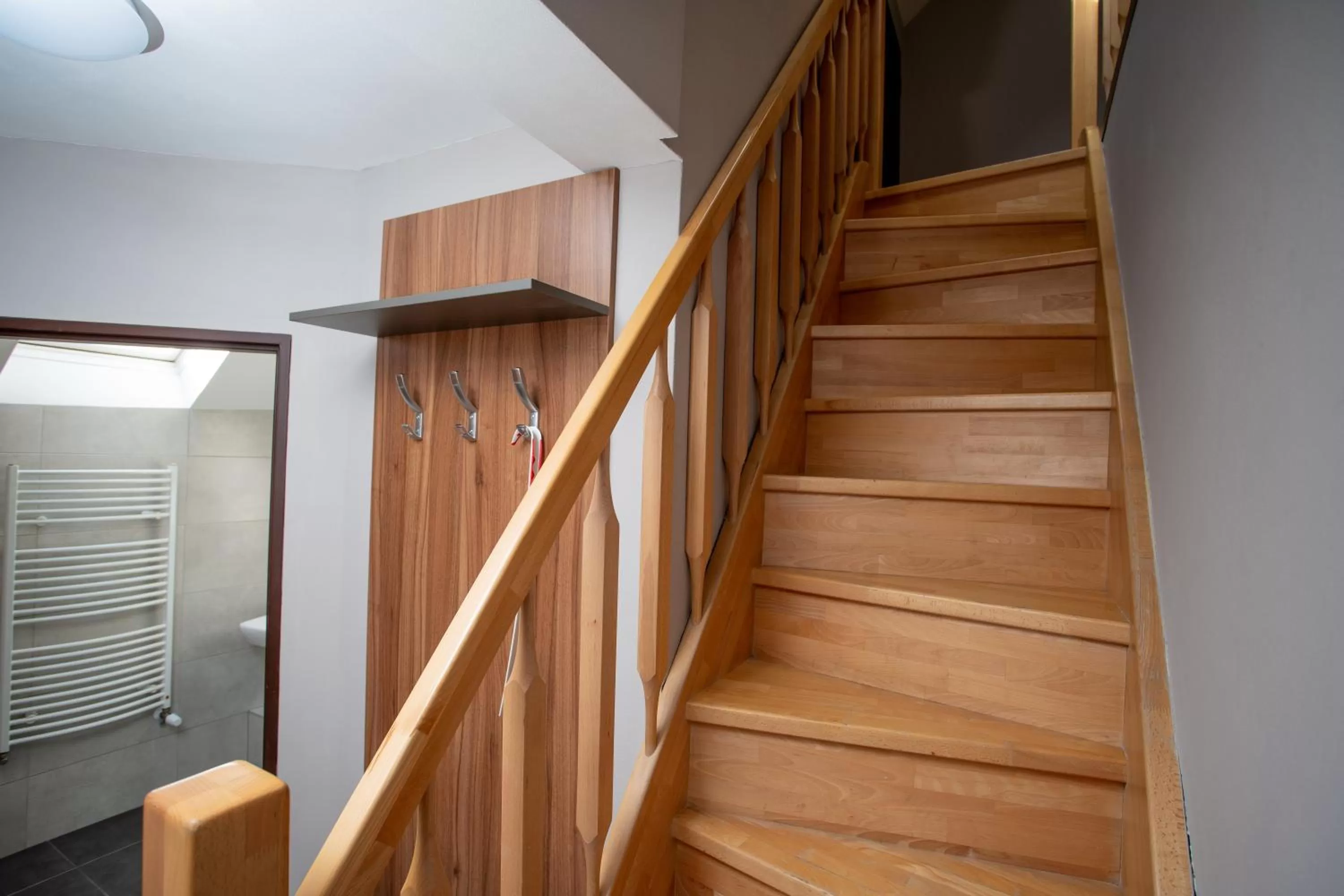 Area and facilities in Hotel U koně