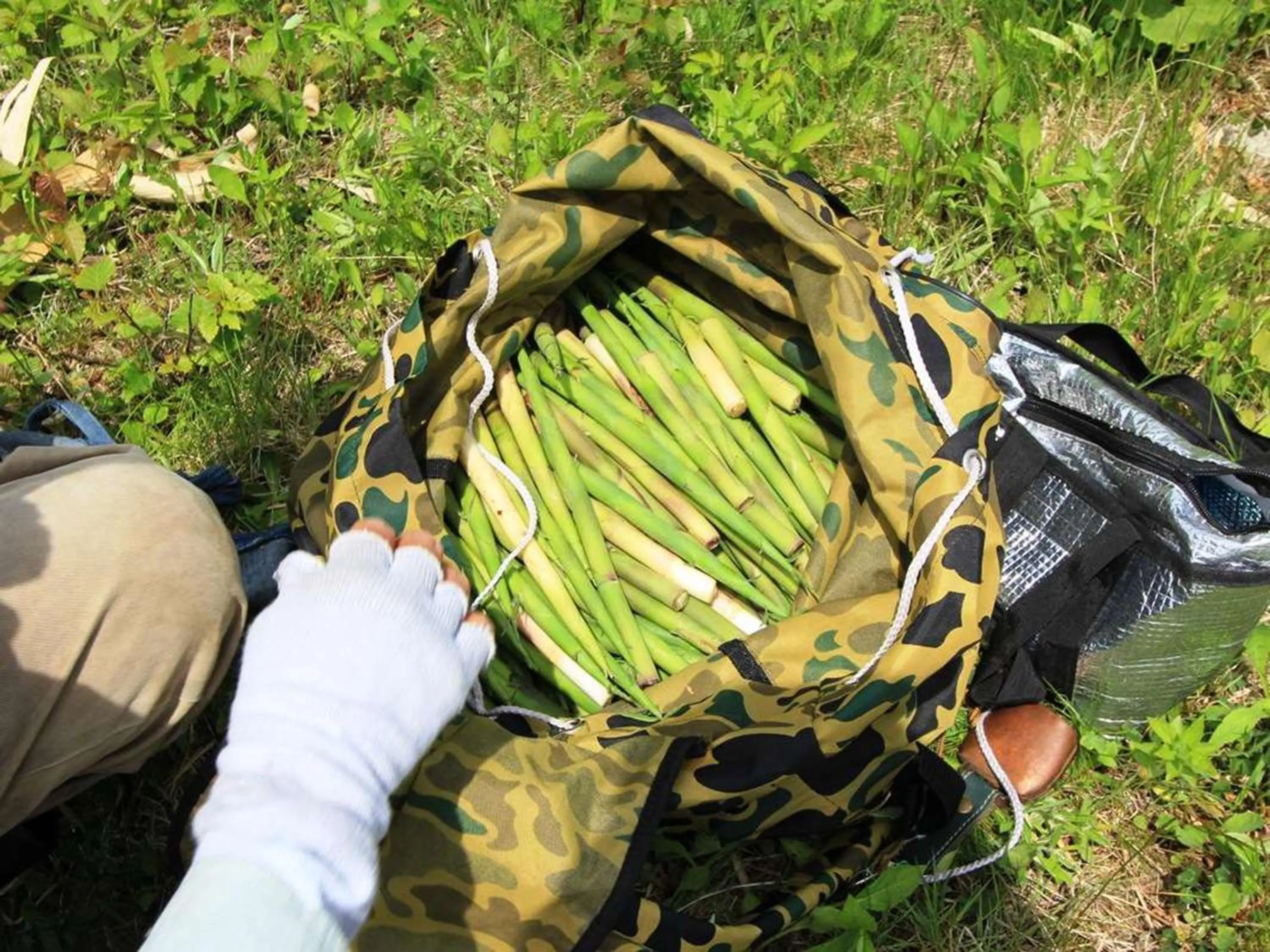 Natural landscape in Naeba Prince Hotel