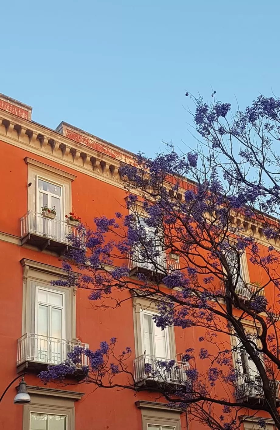 Property building in MONART HOSPITALITY Cavour