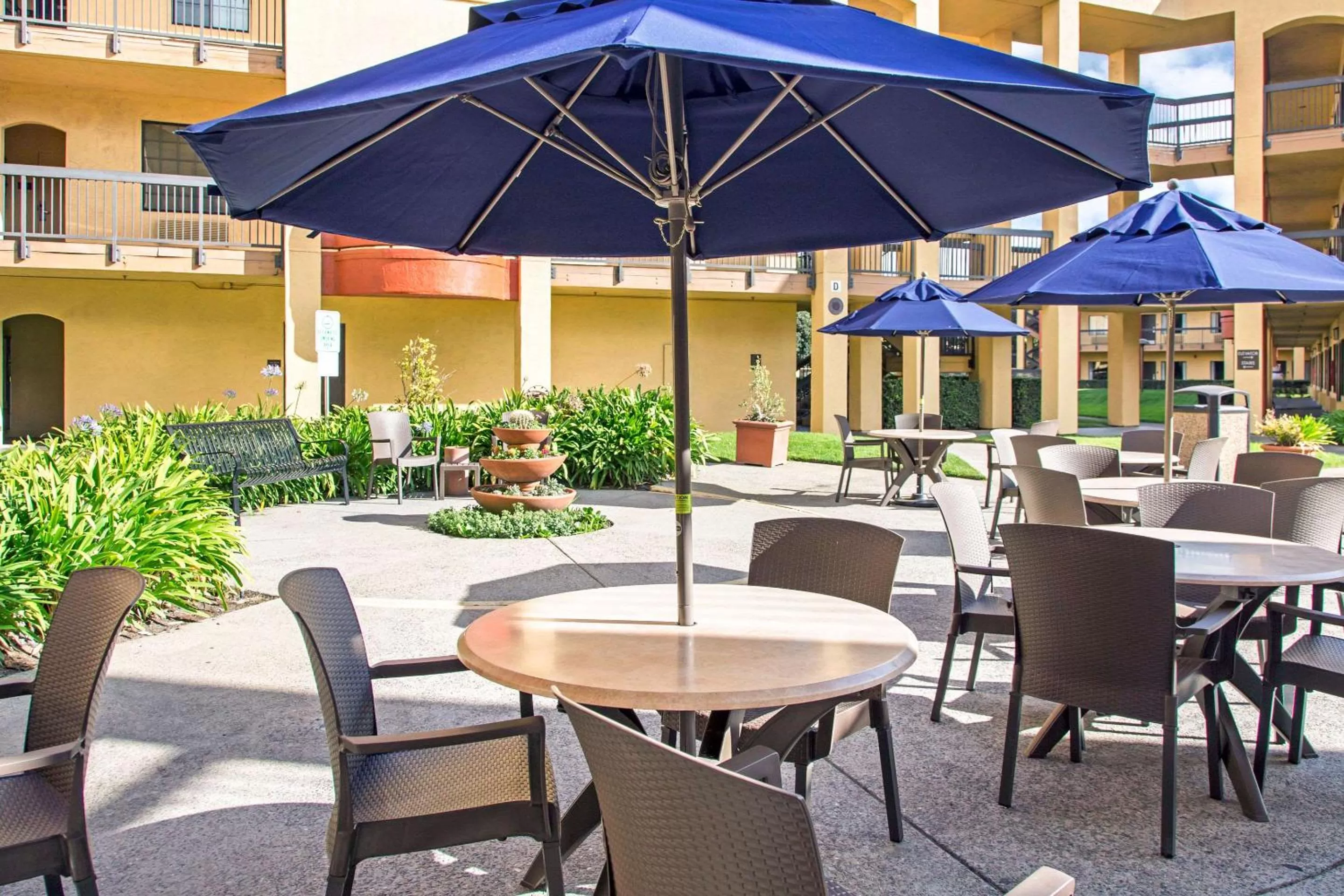Garden in Comfort Inn & Suites San Francisco Airport North